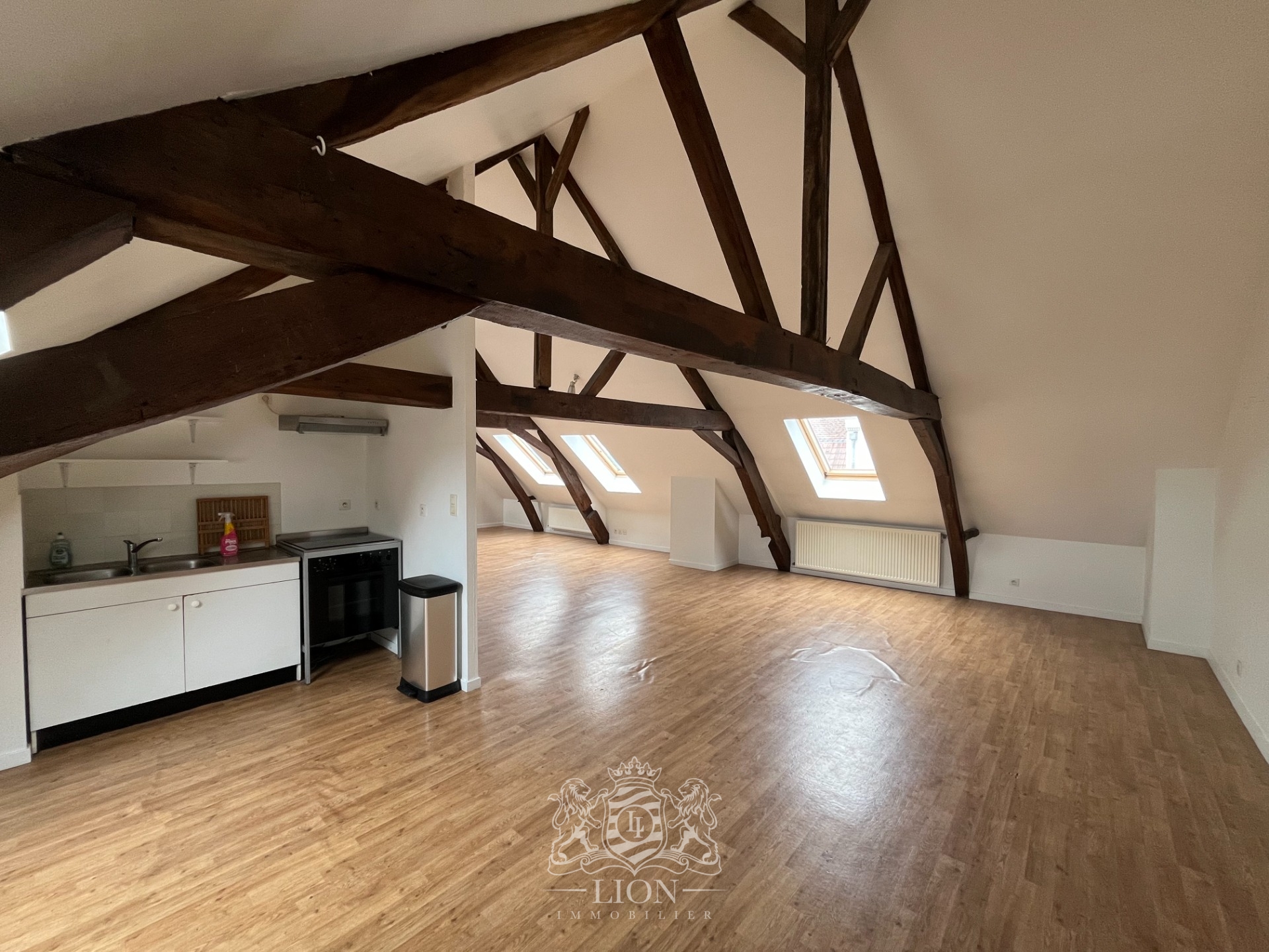 Zyf vieux lille appartement type 3 Photo 3 - Le Lion Immobilier