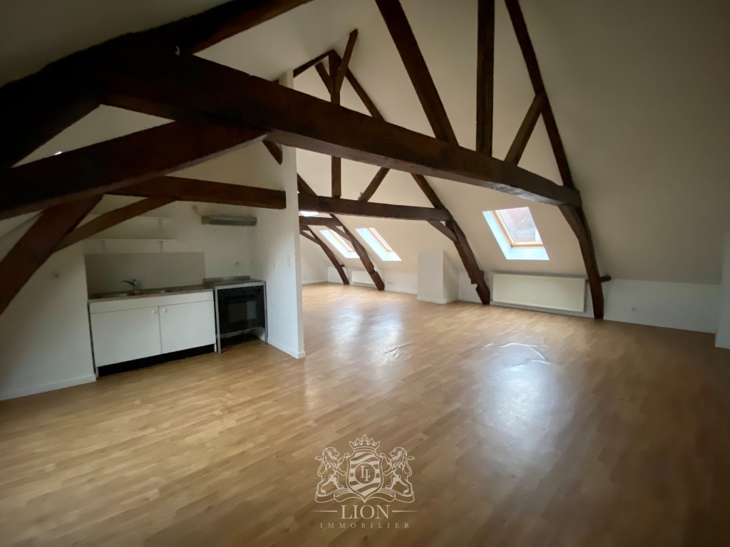 Zyf vieux lille appartement type 3 Photo 4 - Le Lion Immobilier