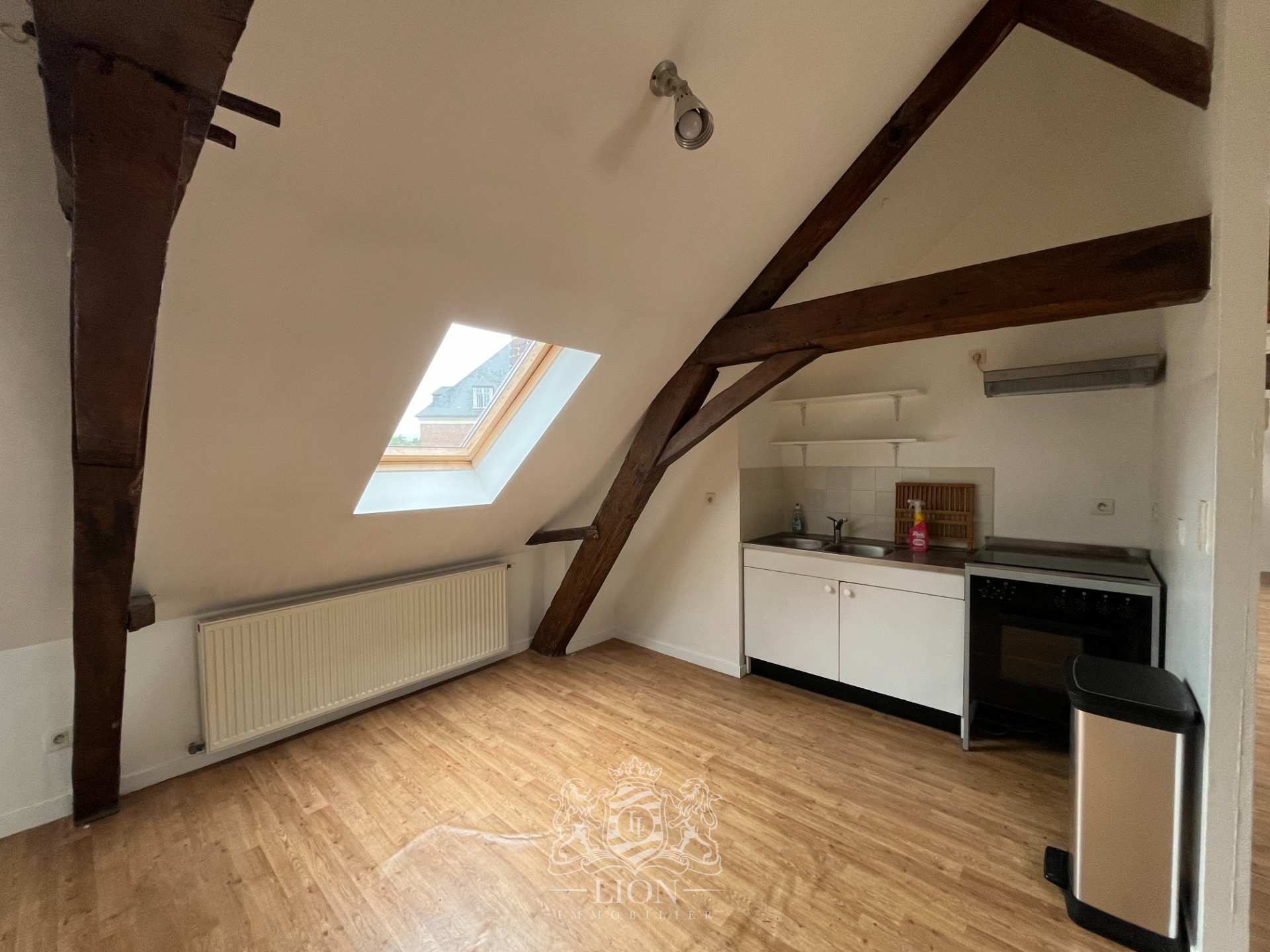 Zyf vieux lille appartement type 3 Photo 4 - Le Lion Immobilier