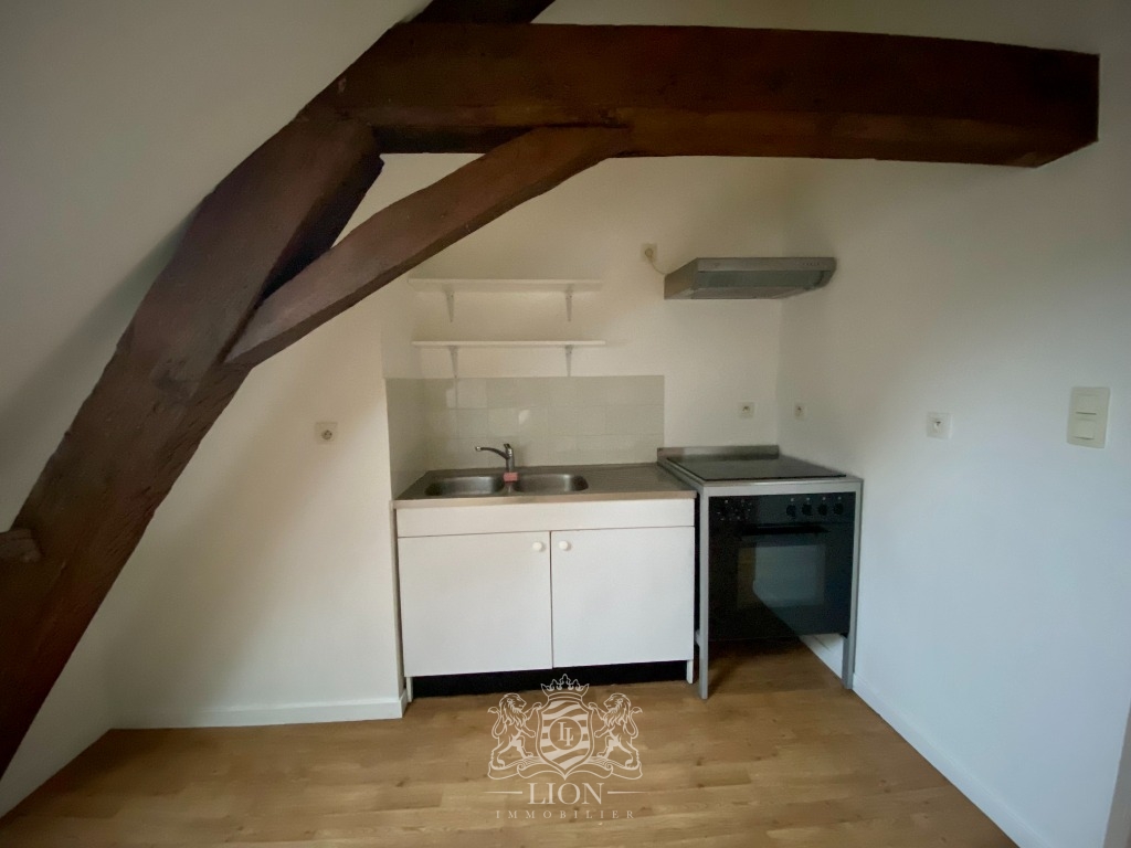 Zyf vieux lille appartement type 3 Photo 5 - Le Lion Immobilier