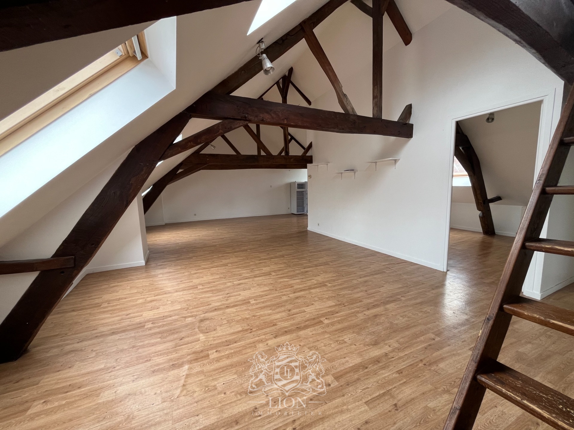 Zyf vieux lille appartement type 3 Photo 5 - Le Lion Immobilier