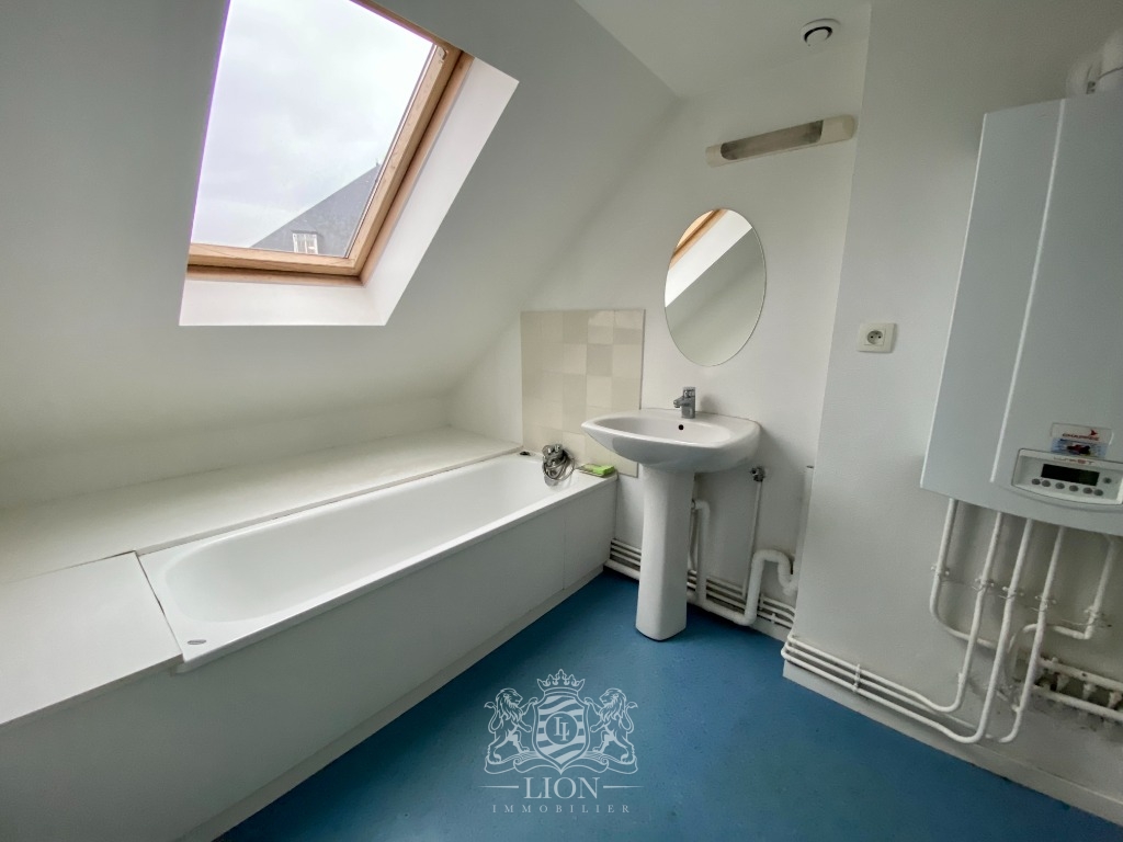 Zyf vieux lille appartement type 3 Photo 7 - Le Lion Immobilier