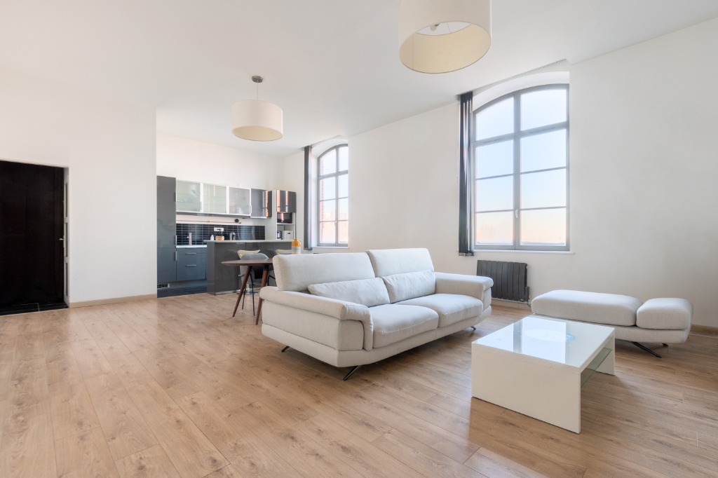 Loft lumineux Photo 2 - Le Lion Immobilier