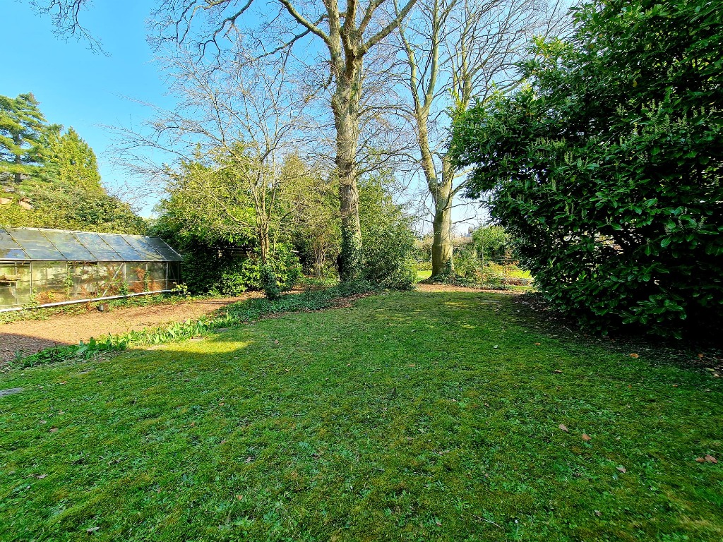 Hippodrome  terrain de 840m avec permis Photo 3 - Le Lion Immobilier