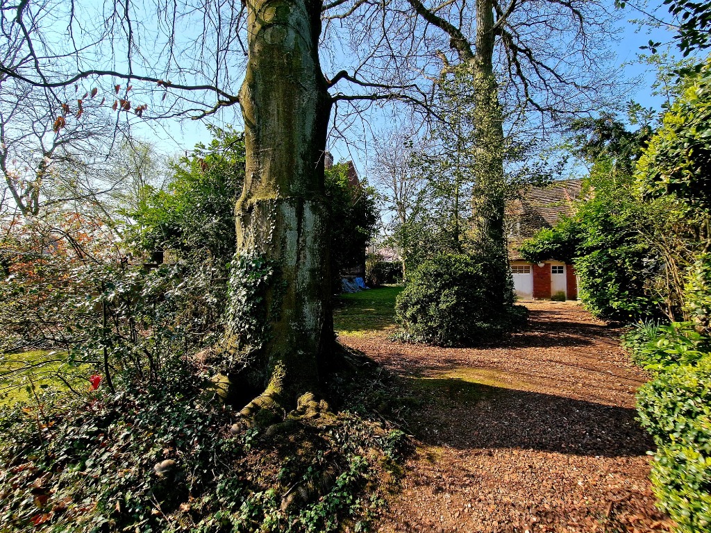 Hippodrome  terrain de 840m avec permis Photo 4 - Le Lion Immobilier