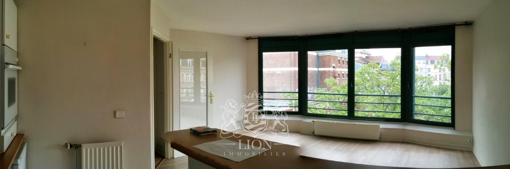 Abis lille centre t2 non meuble Photo 2 - Le Lion Immobilier Abis lille centre t2 non meuble Photo 2 - Le Lion Immobilier
