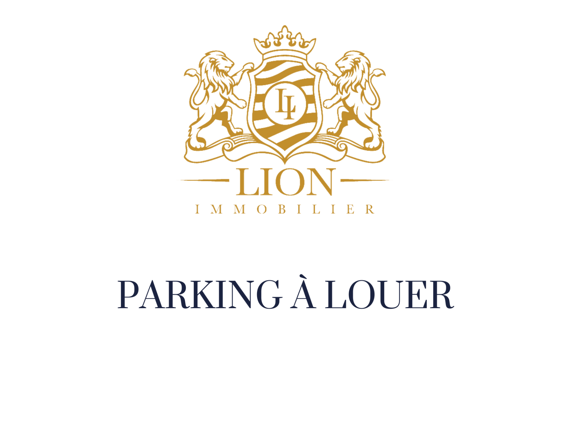 Abjj parking rue de la gendarmerie Photo 1 - Le Lion Immobilier