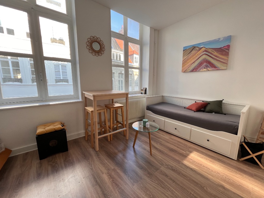 Abpm vieux lille studio meuble Photo 1 - Le Lion Immobilier Abpm vieux lille studio meuble Photo 1 - Le Lion Immobilier