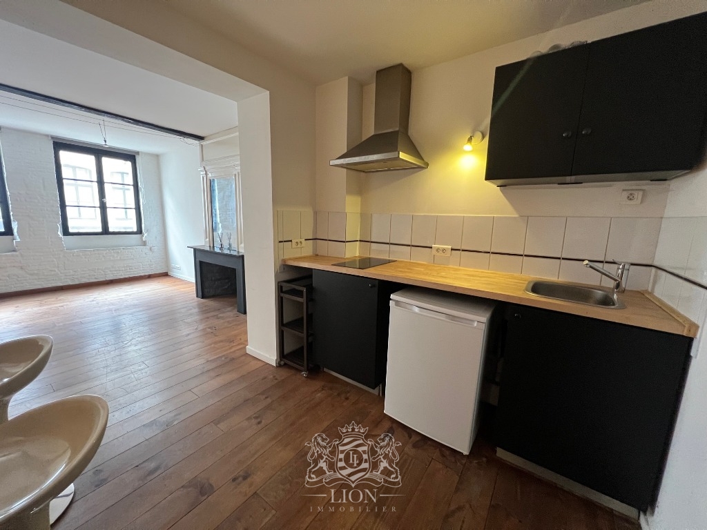 Actr vieux lille t2 non meuble Photo 4 - Le Lion Immobilier