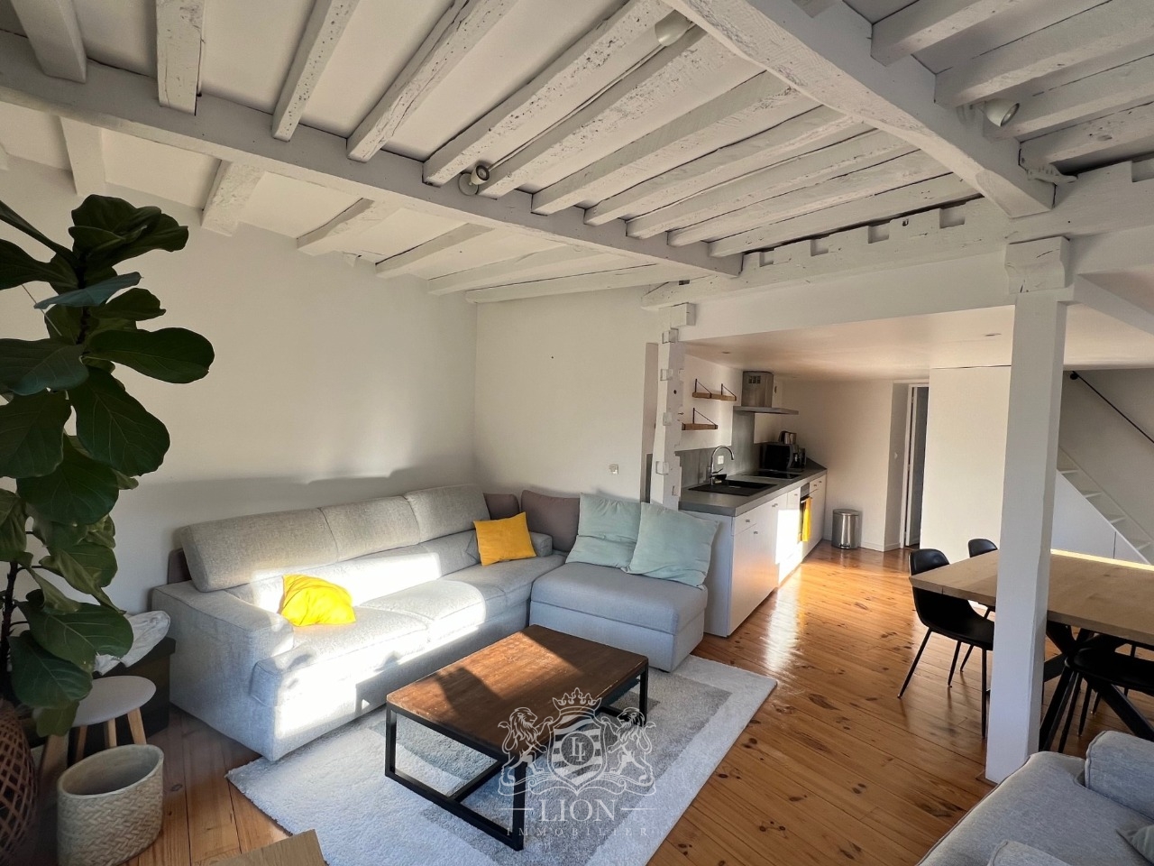 Adom vieux lille t3 meuble avec terrasse Photo 1 - Le Lion Immobilier