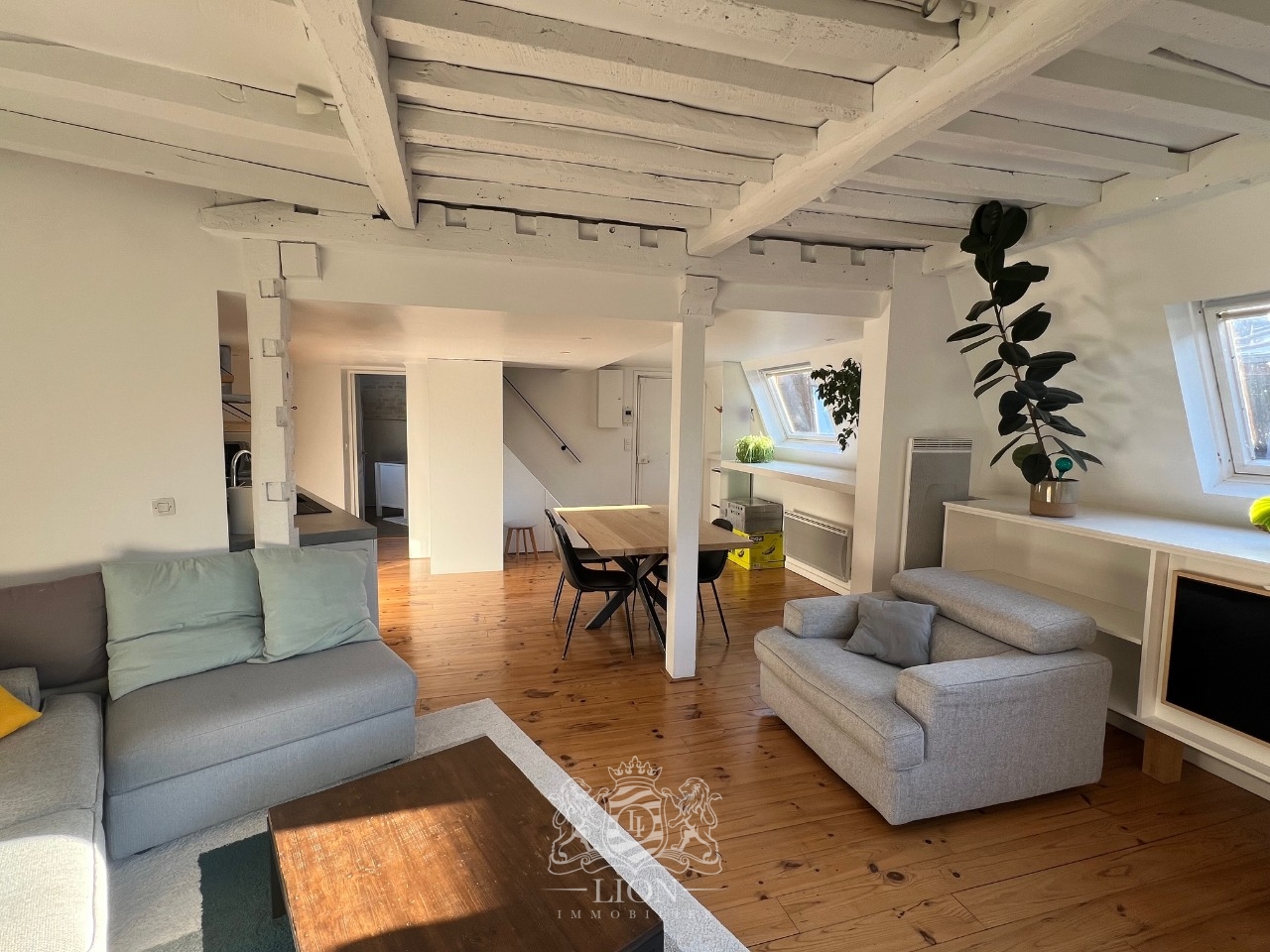 Adom vieux lille t3 meuble avec terrasse Photo 2 - Le Lion Immobilier