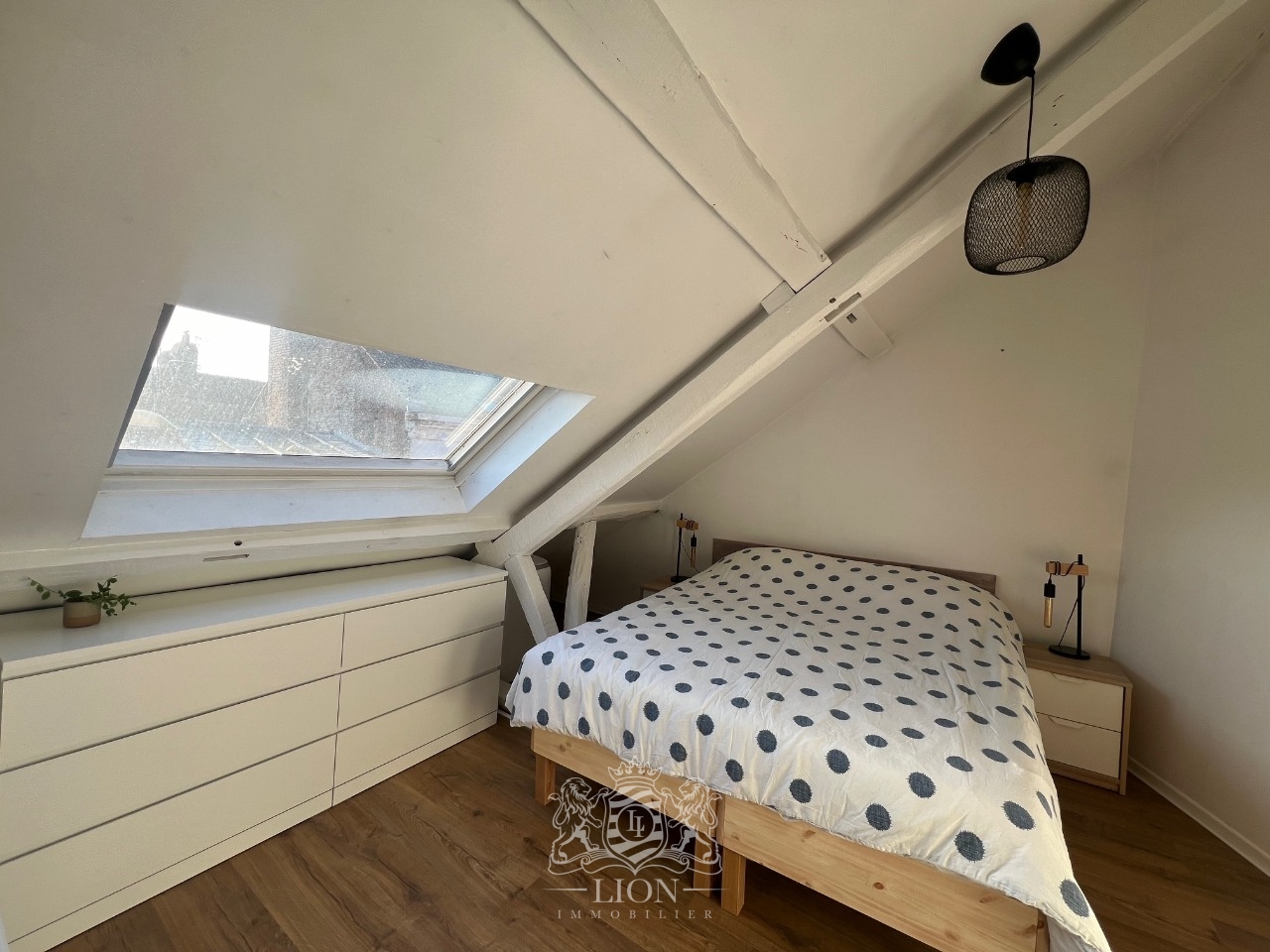 Adom vieux lille t3 meuble avec terrasse Photo 13 - Le Lion Immobilier