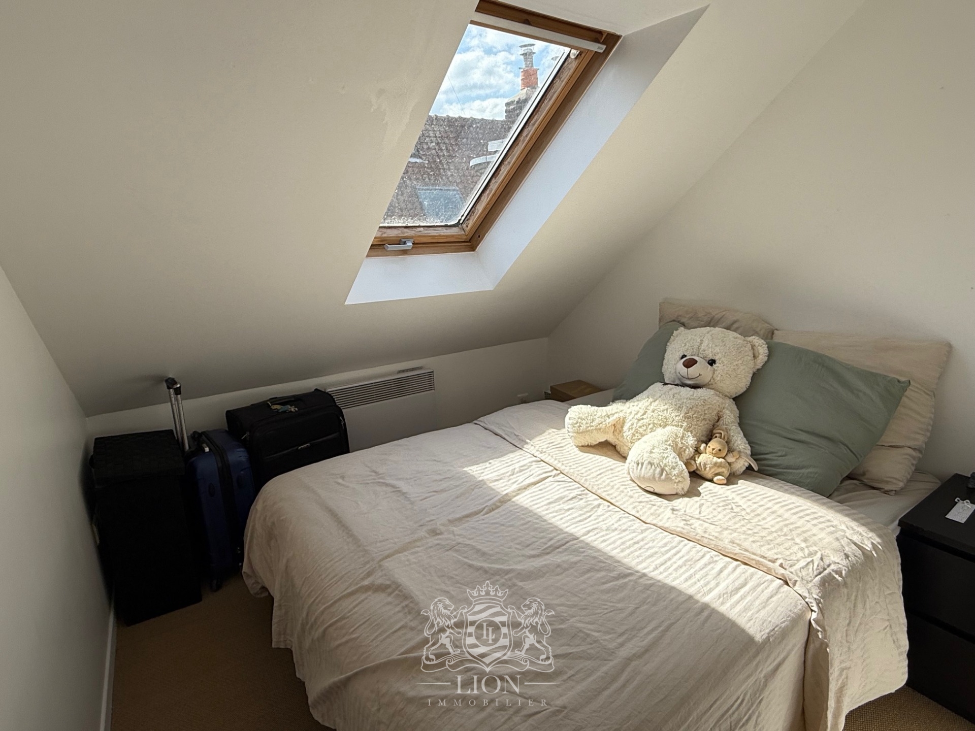 Afbs vieux lille t1 bis non meuble Photo 4 - Le Lion Immobilier