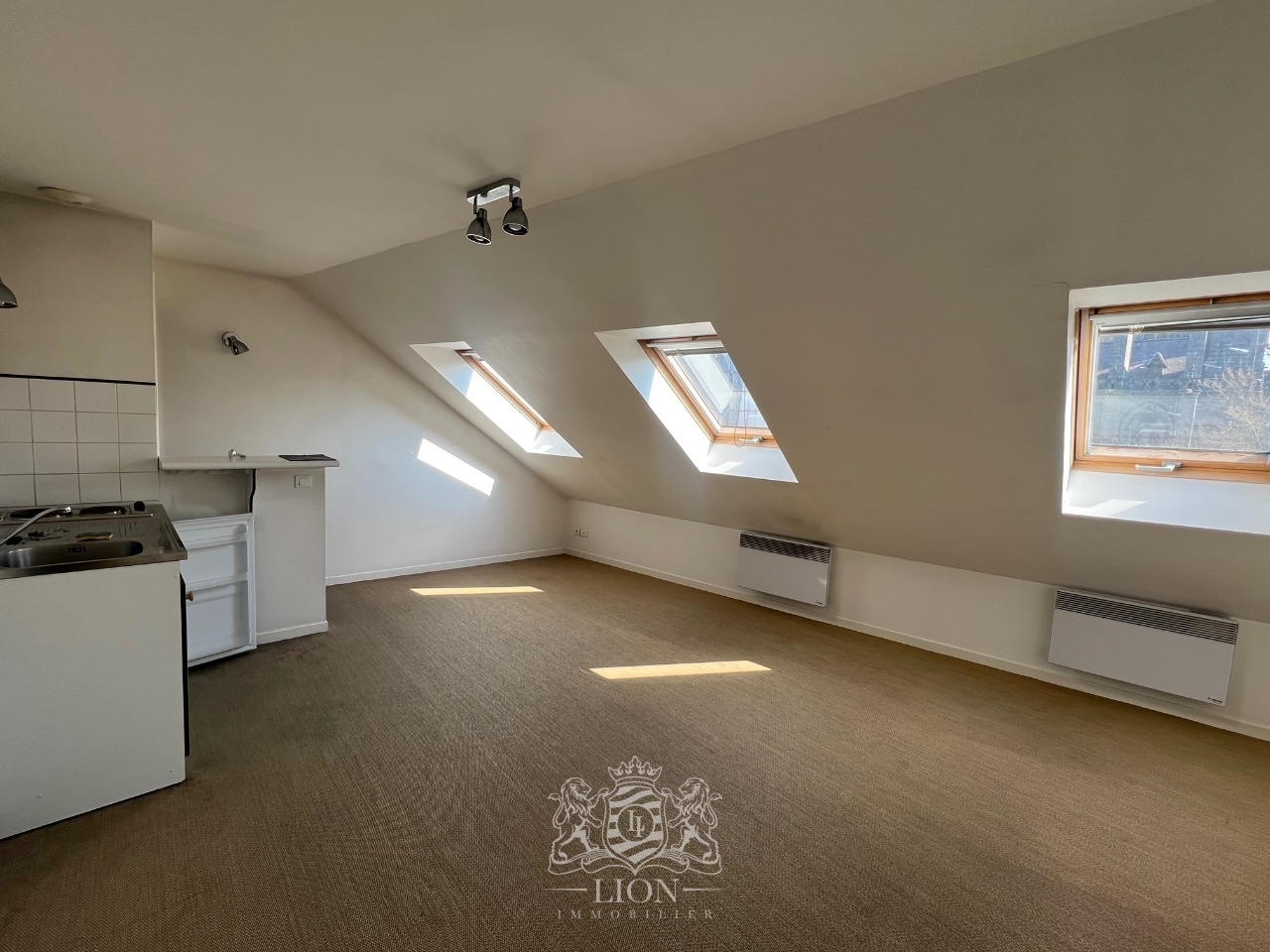 Afbs vieux lille t1 bis non meuble Photo 7 - Le Lion Immobilier