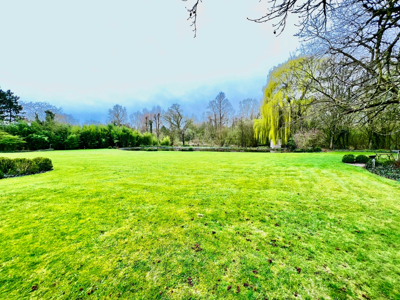 Terrain constructible de plus de 1055m viabilise Photo 1 - Le Lion Immobilier