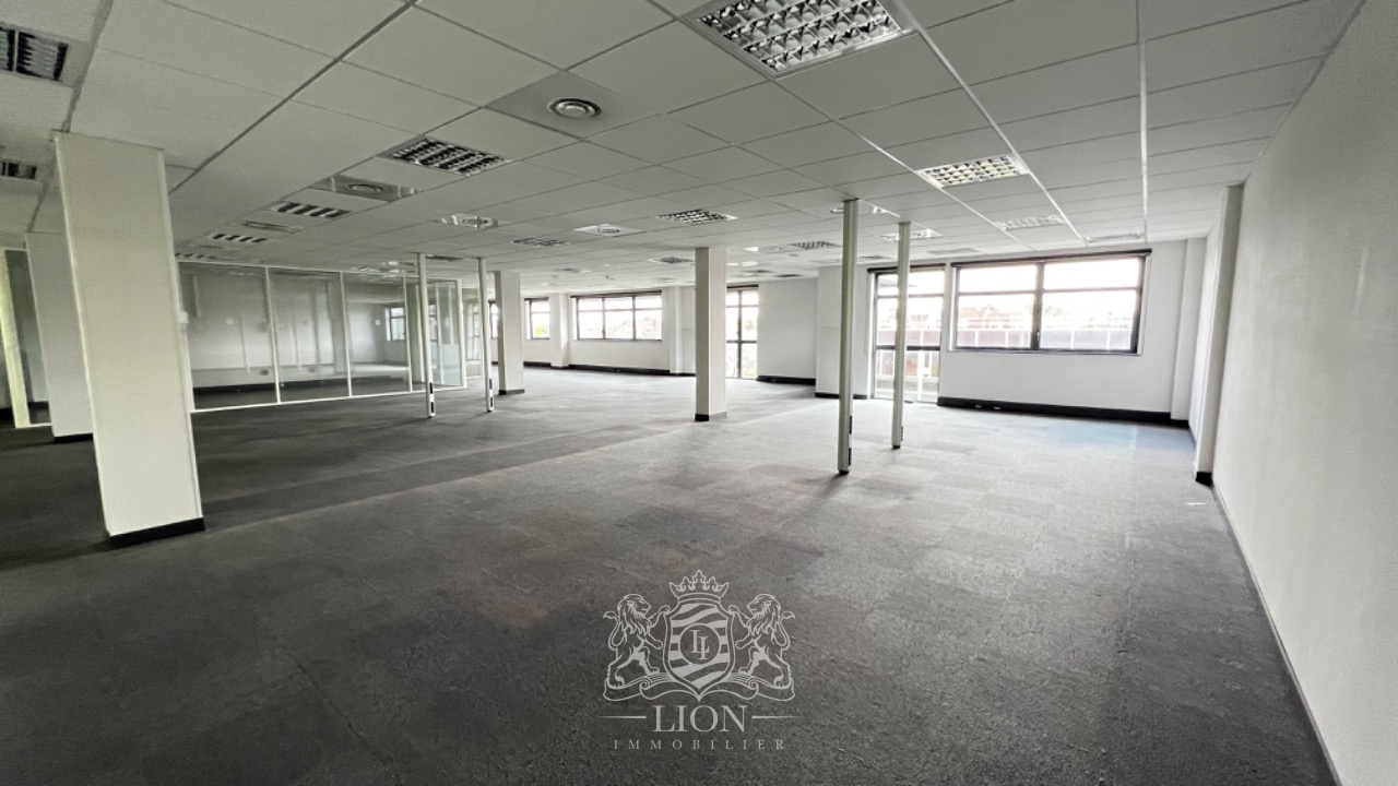 Plusieurs bureaux de 110  3000 m2 Photo 4 - Le Lion Immobilier