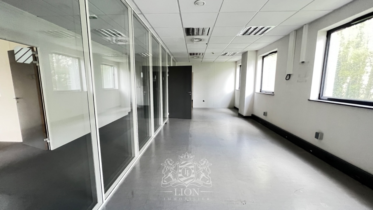 Plusieurs bureaux de 110  3000 m2 Photo 6 - Le Lion Immobilier