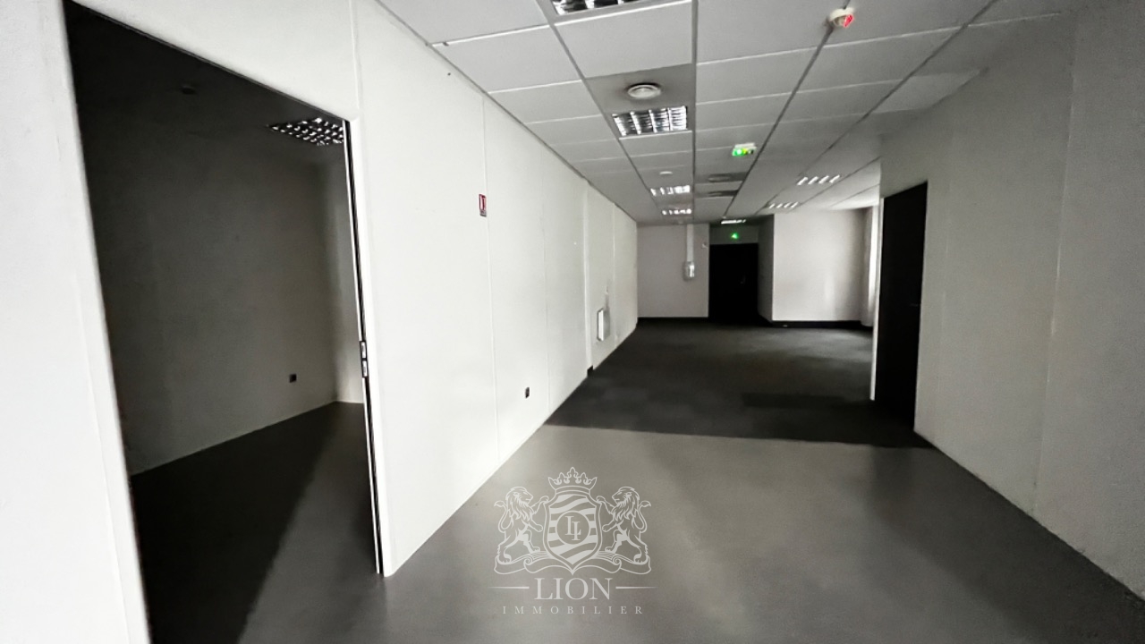 Plusieurs bureaux de 110  3000 m2 Photo 8 - Le Lion Immobilier