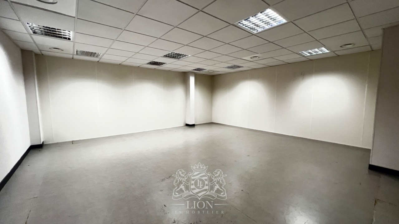 Plusieurs bureaux de 110  3000 m2 Photo 13 - Le Lion Immobilier