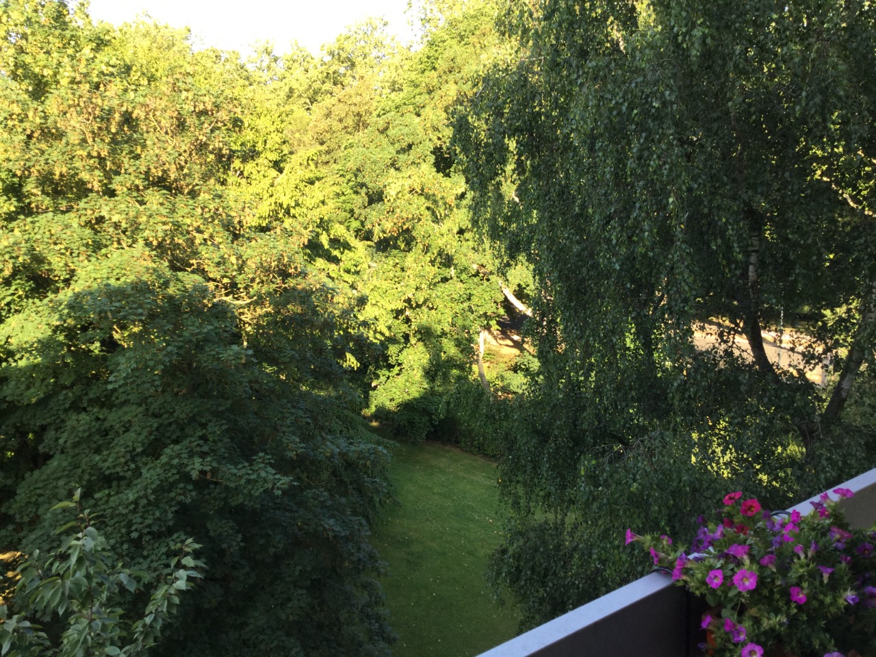 Appartement t5 double sejour 3 chambres balcon et garage Photo 8 - Le Lion Immobilier