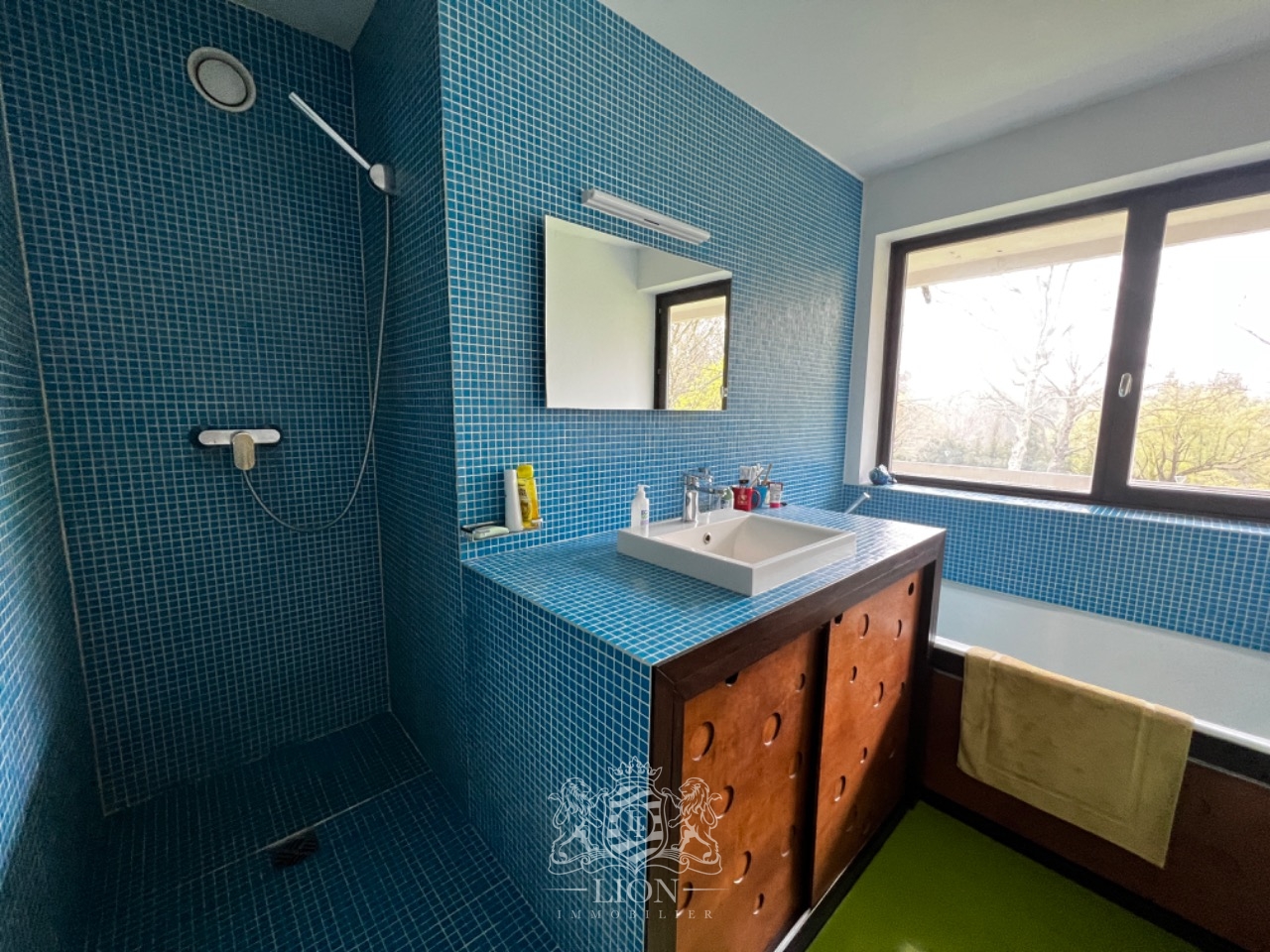 Appartement face au parc barbieux Photo 8 - Le Lion Immobilier