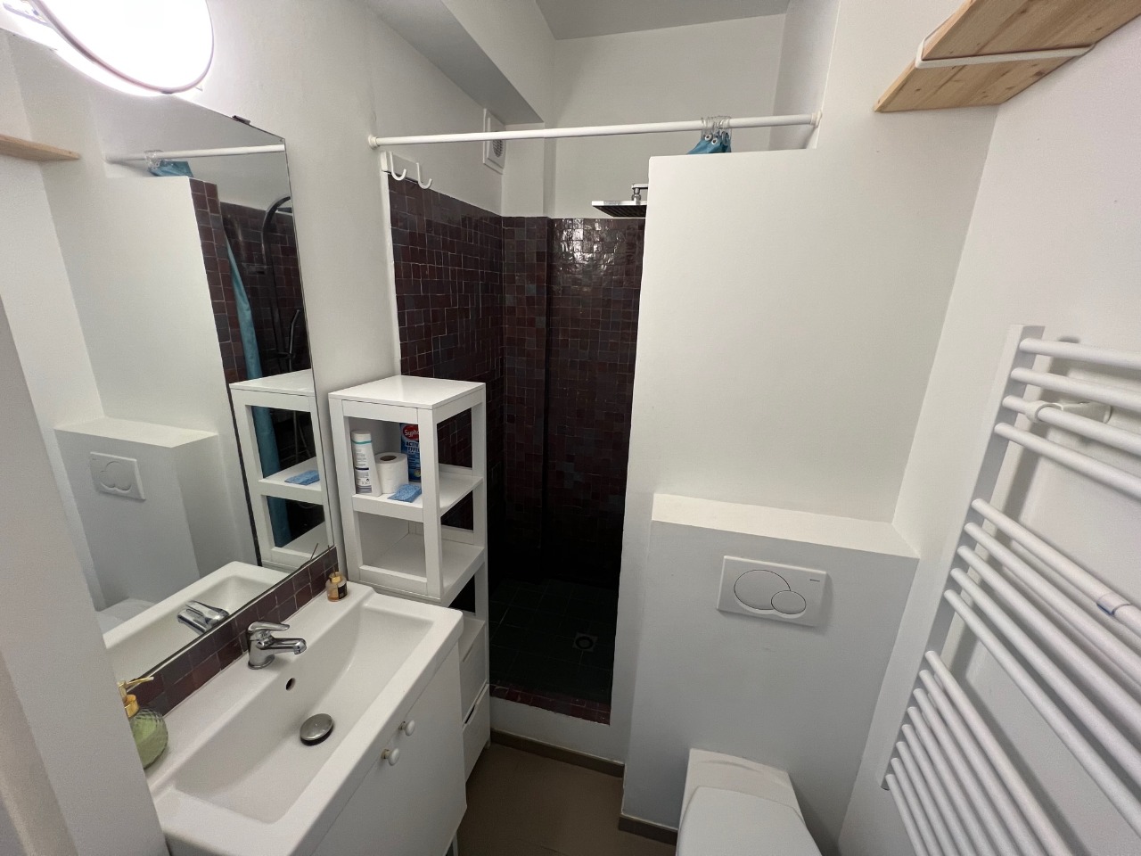 Ahqi vieux lille t3 meuble Photo 12 - Le Lion Immobilier