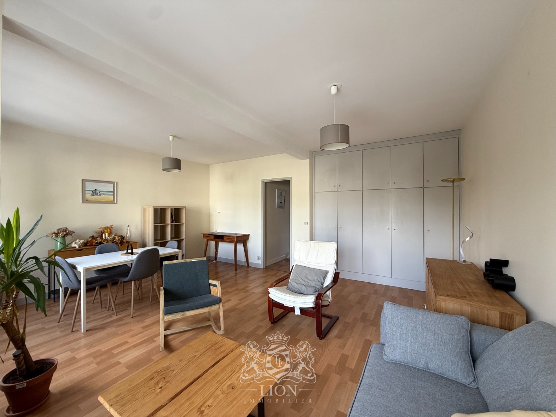Ahvg vieux lille t2 meuble Photo 3 - Le Lion Immobilier Ahvg vieux lille t2 meuble Photo 3 - Le Lion Immobilier