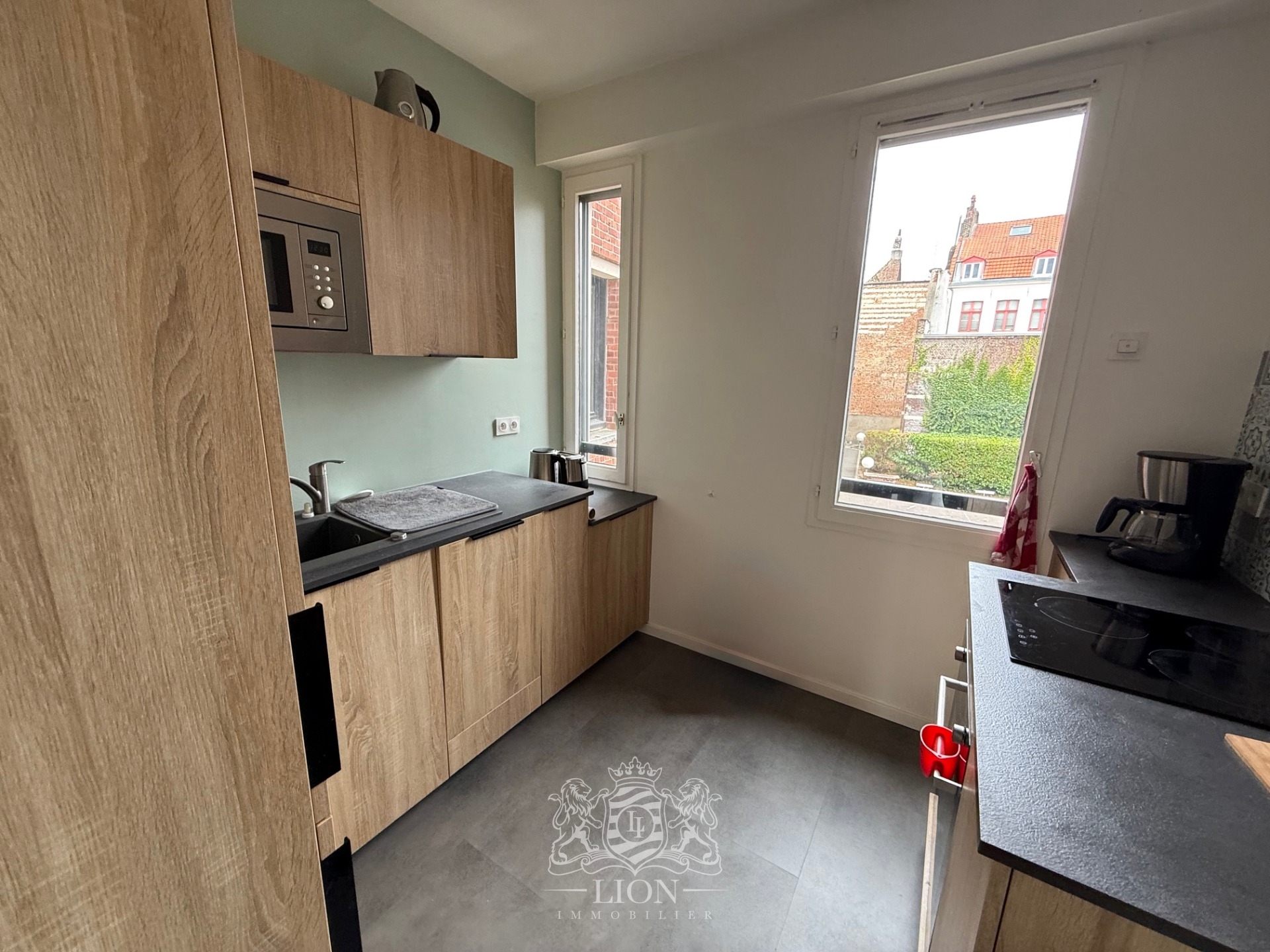 Ahvg vieux lille t2 meuble Photo 5 - Le Lion Immobilier Ahvg vieux lille t2 meuble Photo 5 - Le Lion Immobilier