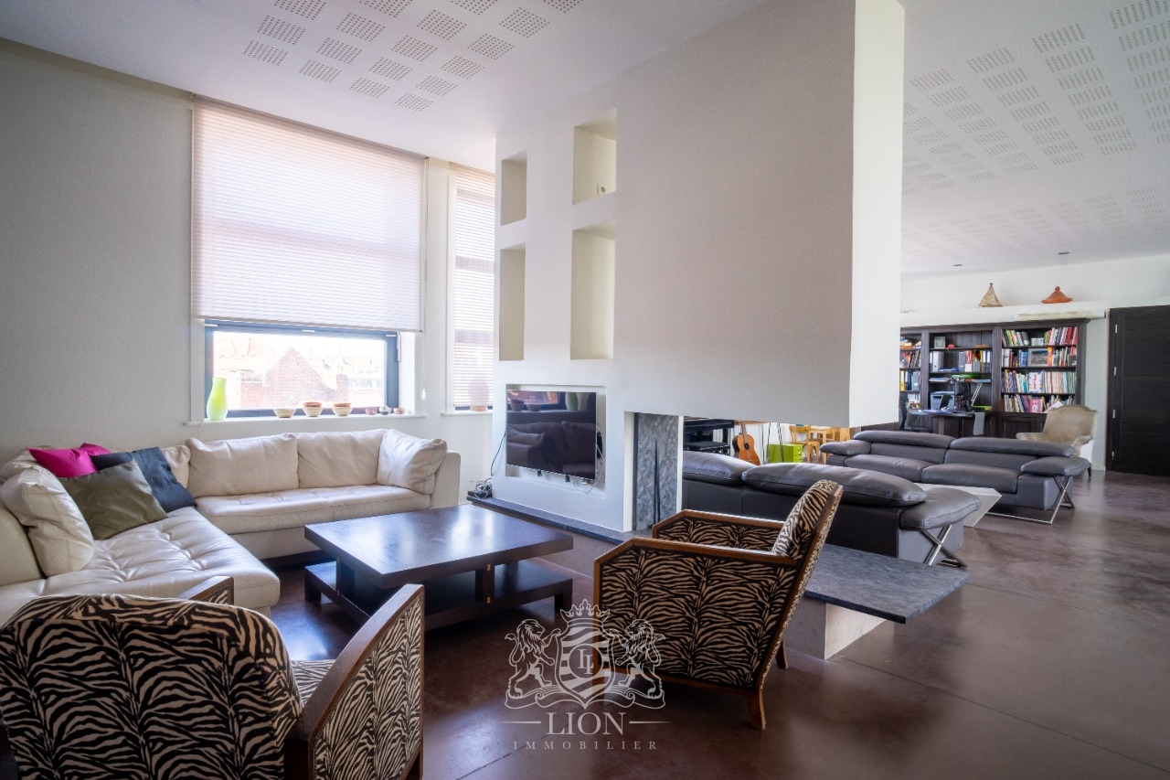 Loft d exception avec terrasses et jardin Photo 1 - Le Lion Immobilier
