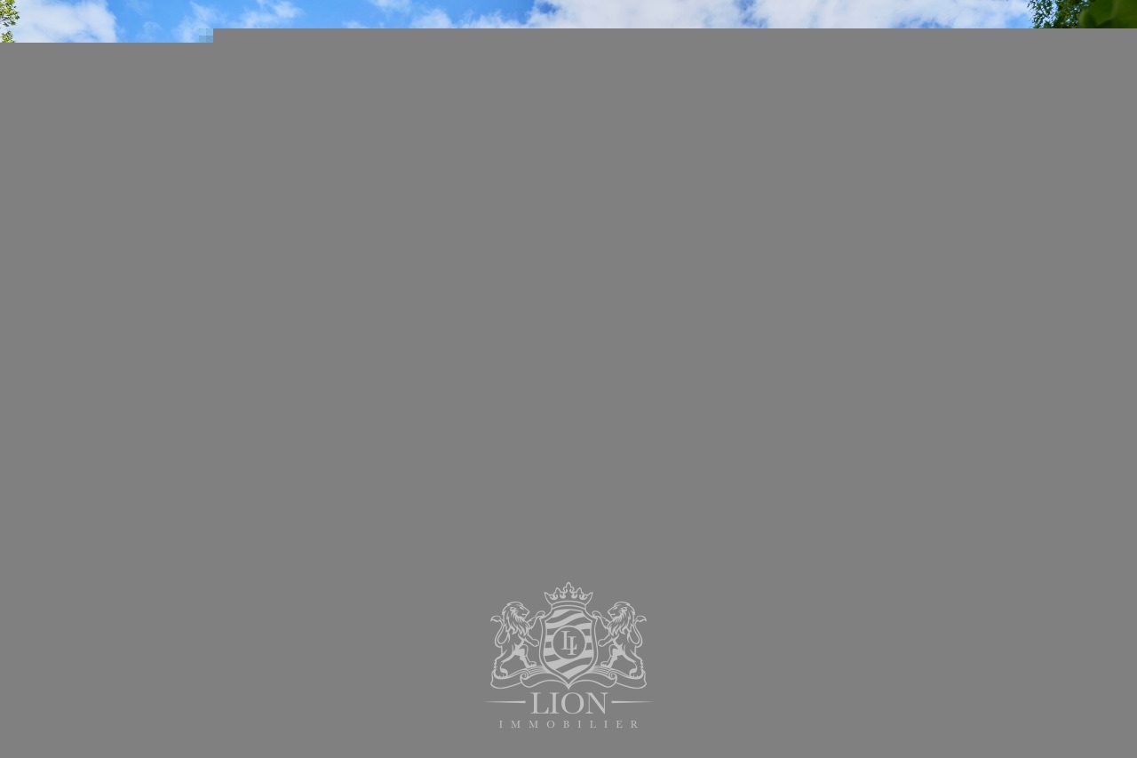 Maison individuelle de caractere Photo 2 - Le Lion Immobilier