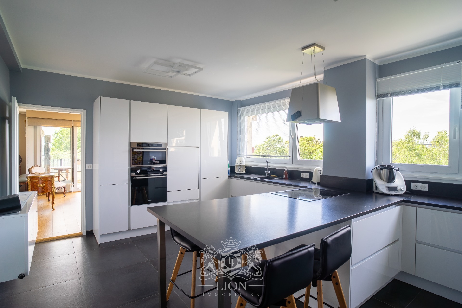 Appartement d exception d environ 240m Photo 3 - Le Lion Immobilier