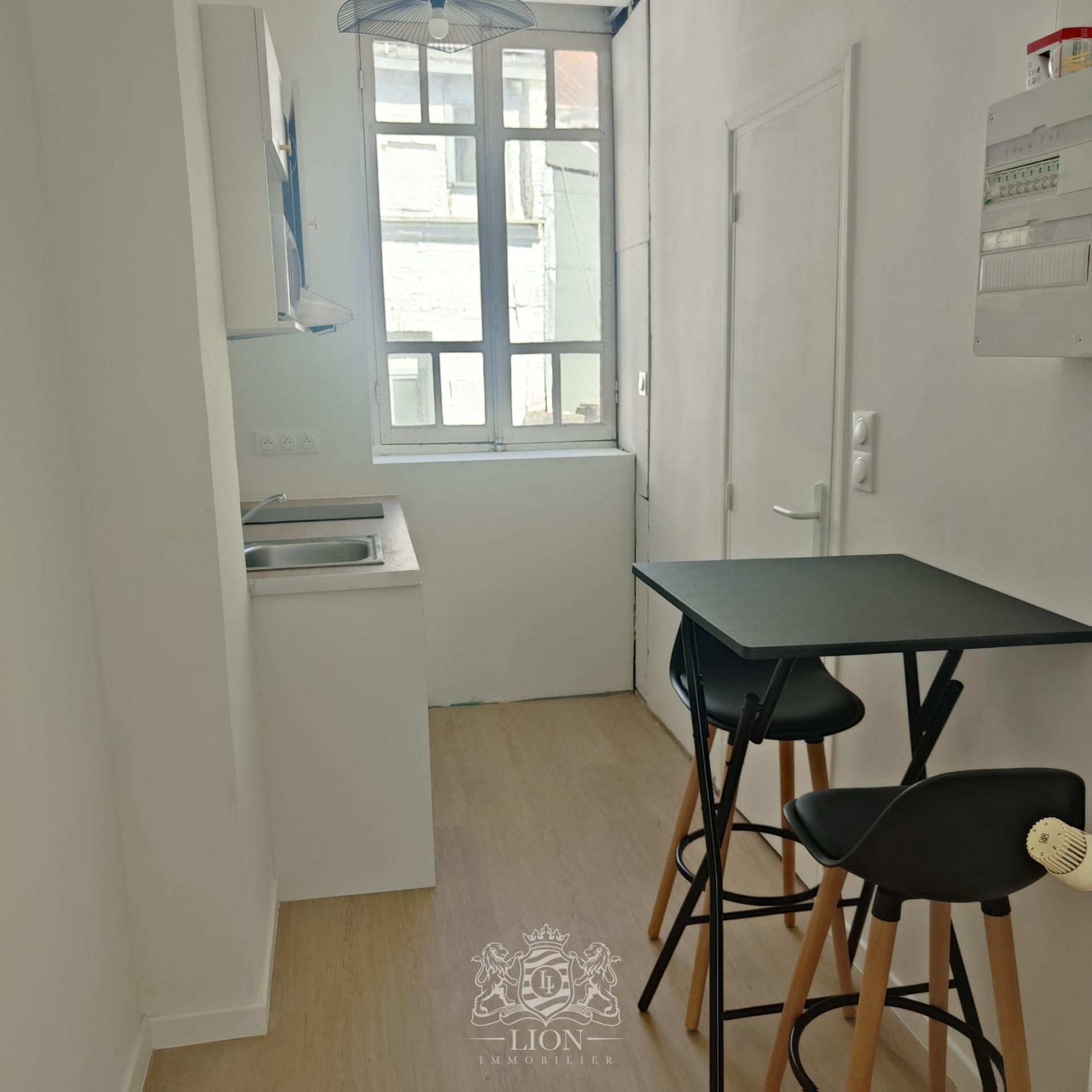 Algs vieux lille studio meuble Photo 7 - Le Lion Immobilier
