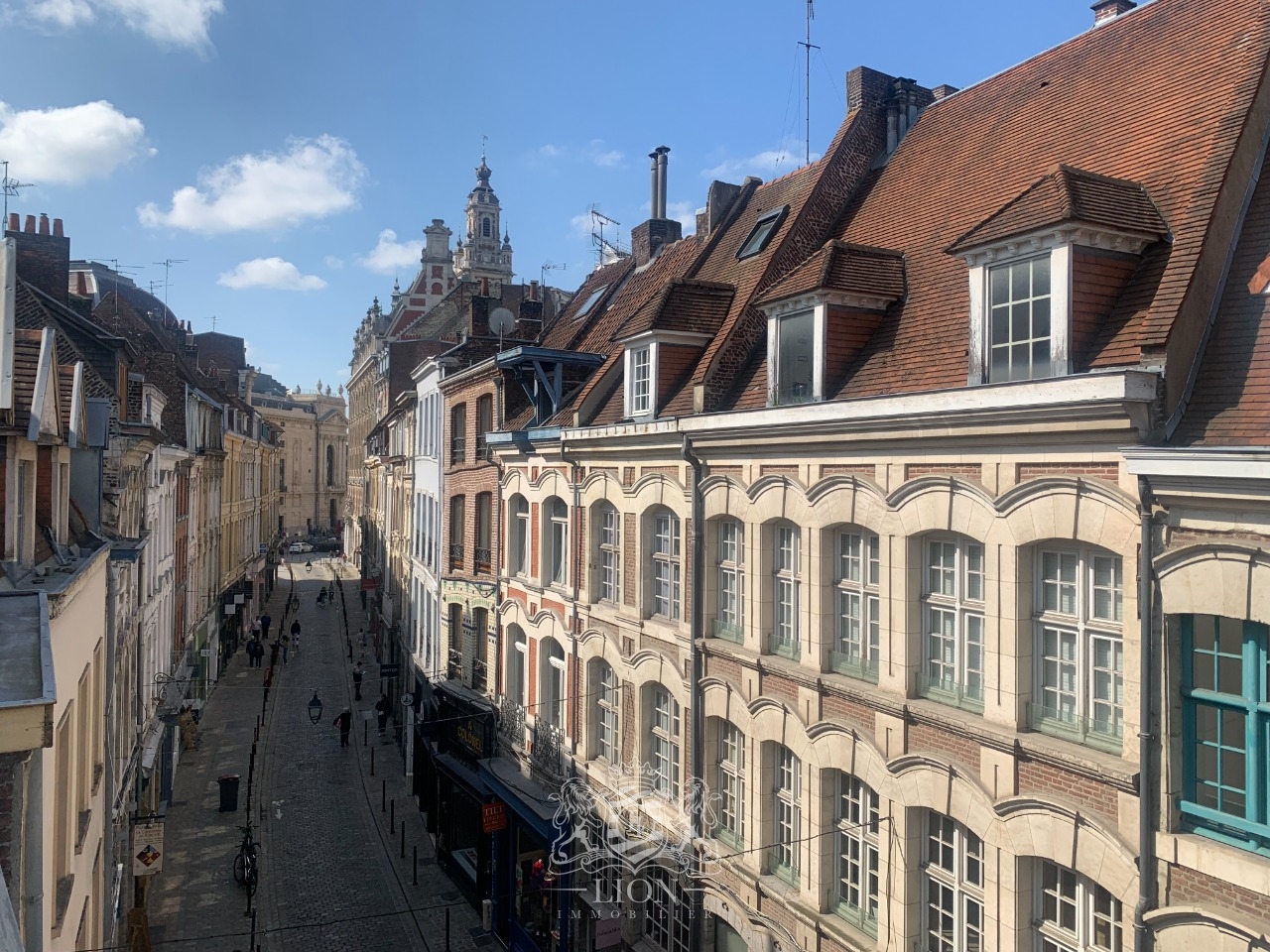 Algs vieux lille studio meuble Photo 10 - Le Lion Immobilier