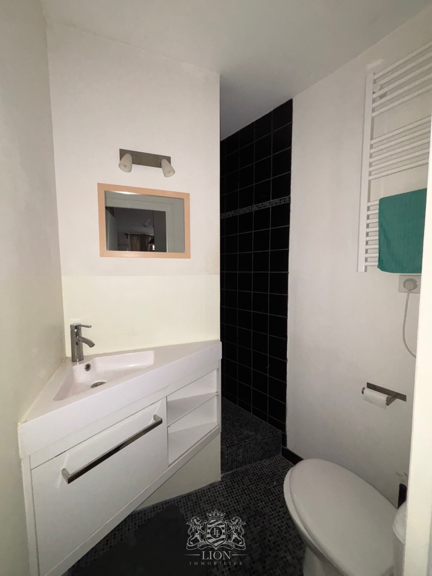 Rue grande chaussee studette  coup de coeur Photo 10 - Le Lion Immobilier