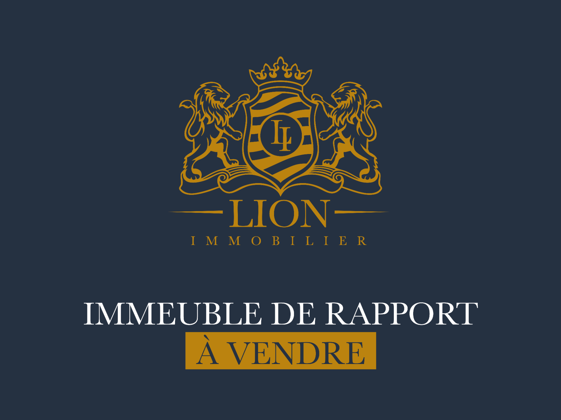 Ensemble immobilier operation achat revente ou patrimoine Photo 1 - Le Lion Immobilier