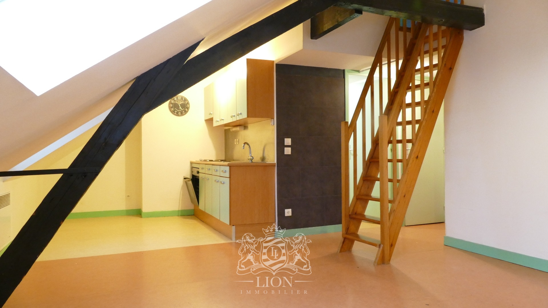 Ensemble immobilier operation achat revente ou patrimoine Photo 2 - Le Lion Immobilier