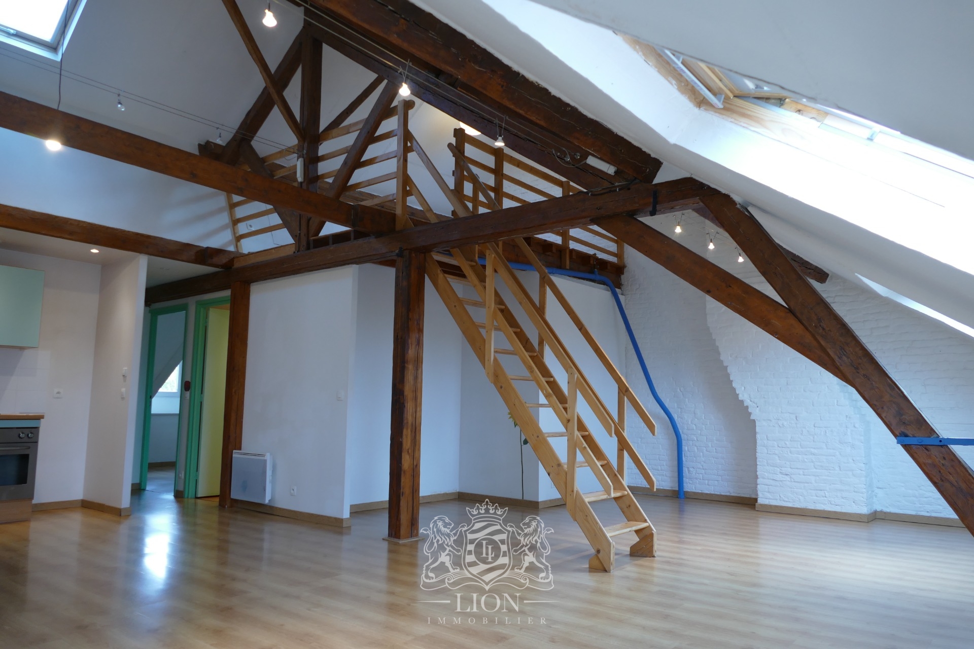 Ensemble immobilier operation achat revente ou patrimoine Photo 3 - Le Lion Immobilier