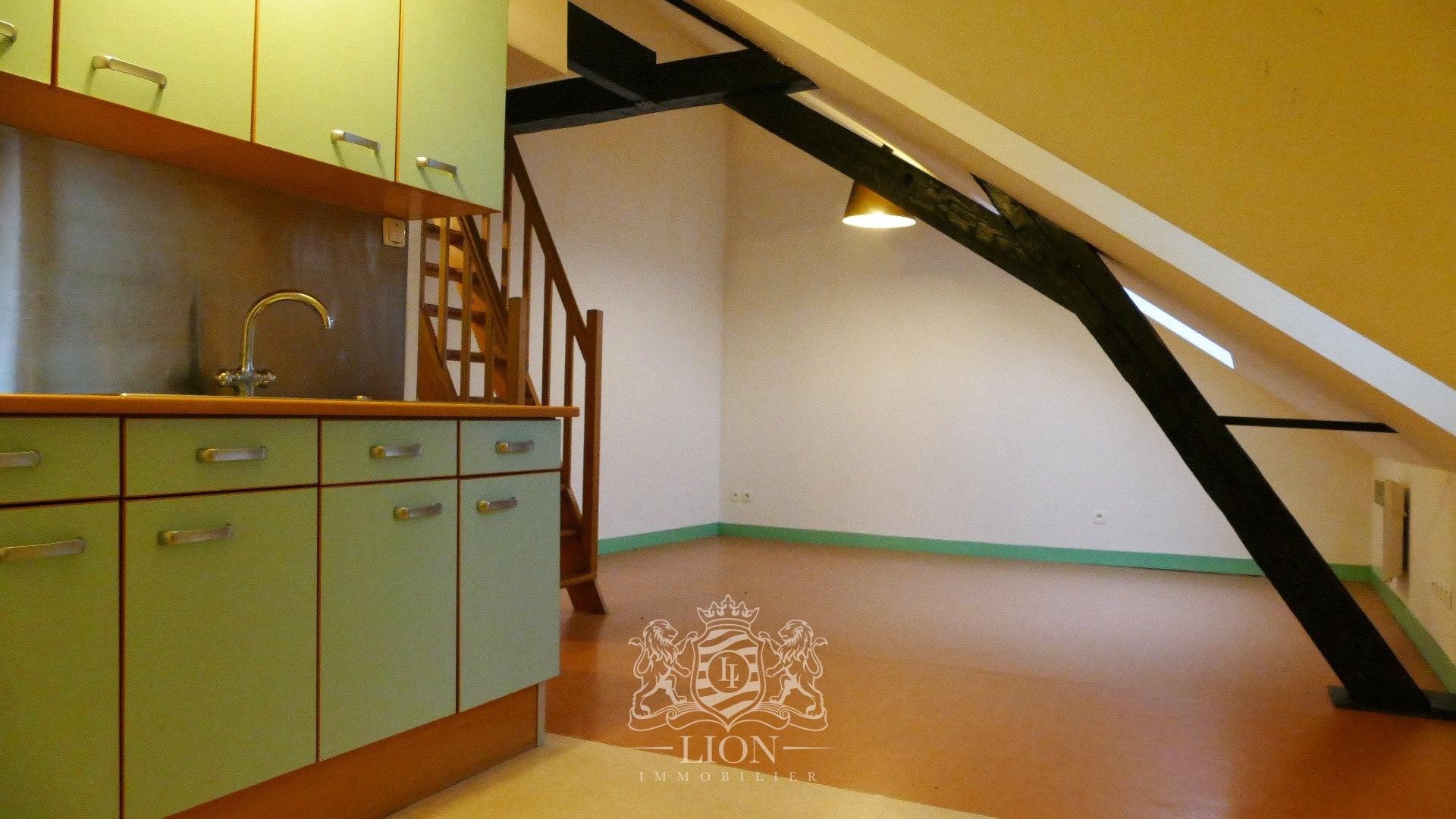 Ensemble immobilier operation achat revente ou patrimoine Photo 5 - Le Lion Immobilier