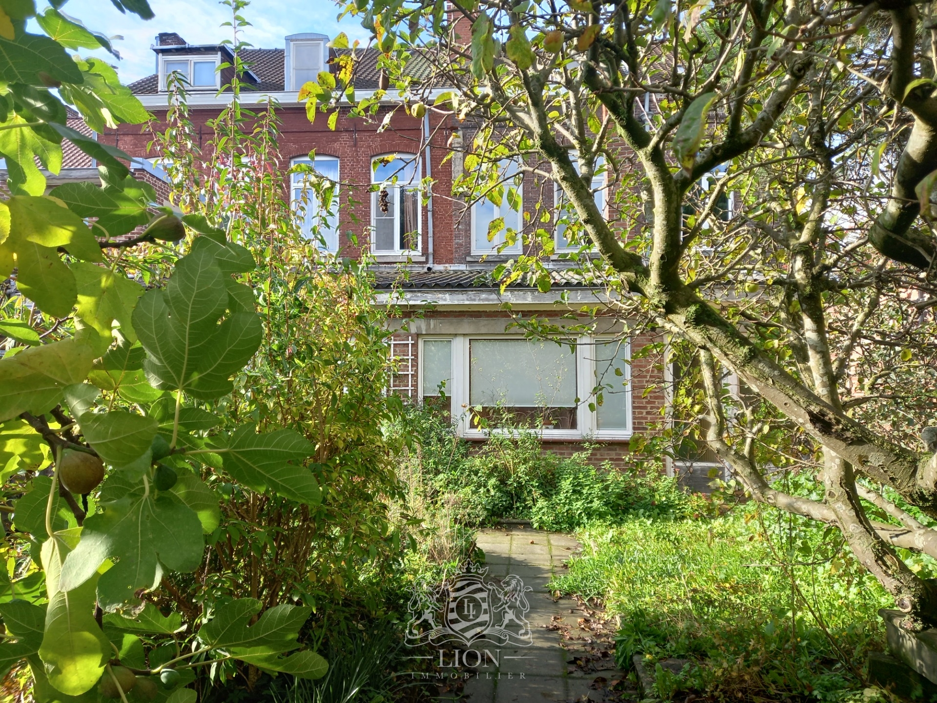 Ensemble immobilier operation achat revente ou patrimoine Photo 8 - Le Lion Immobilier