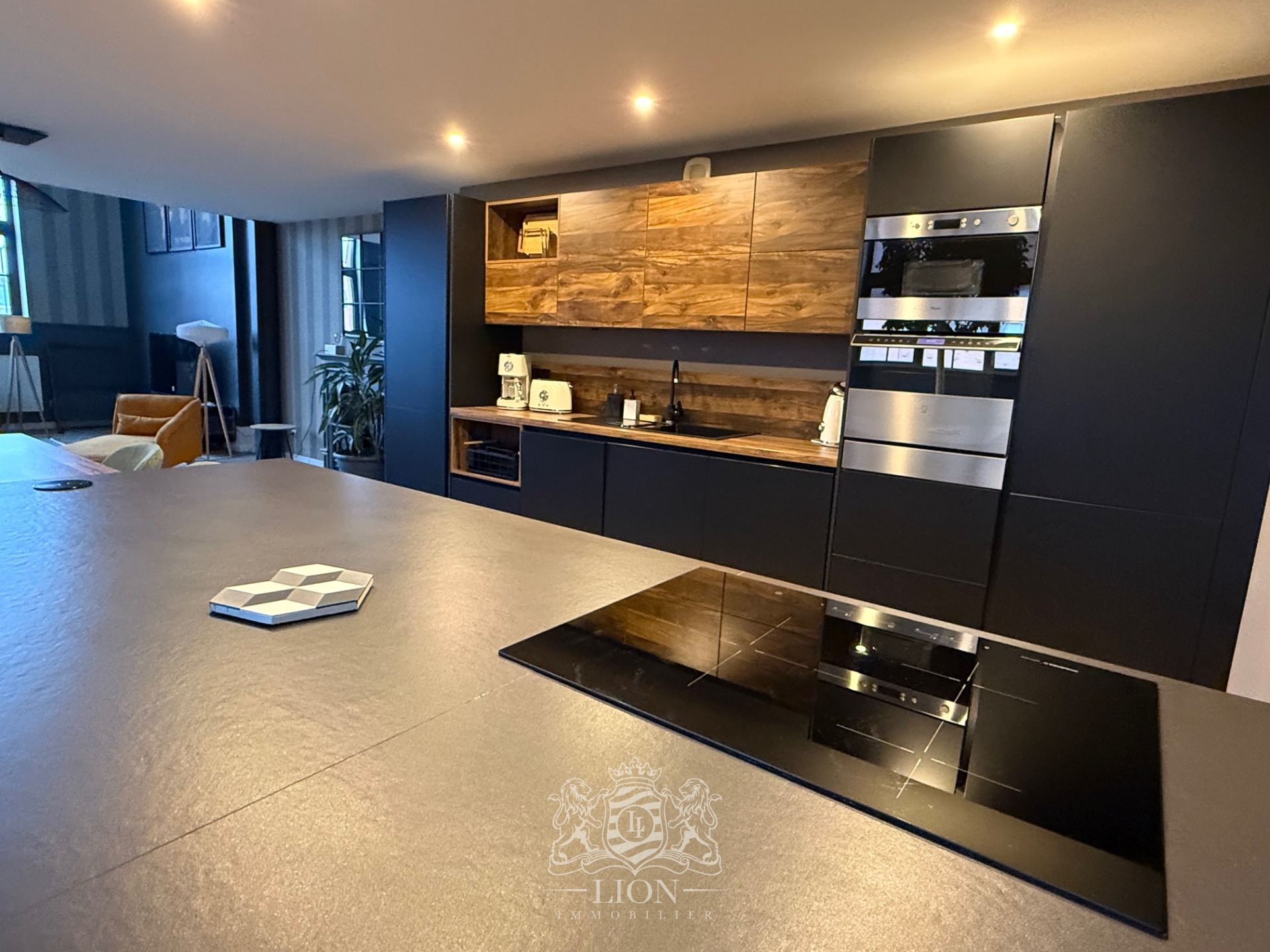 Amqi roubaix loft d exception meuble avec parking Photo 5 - Le Lion Immobilier