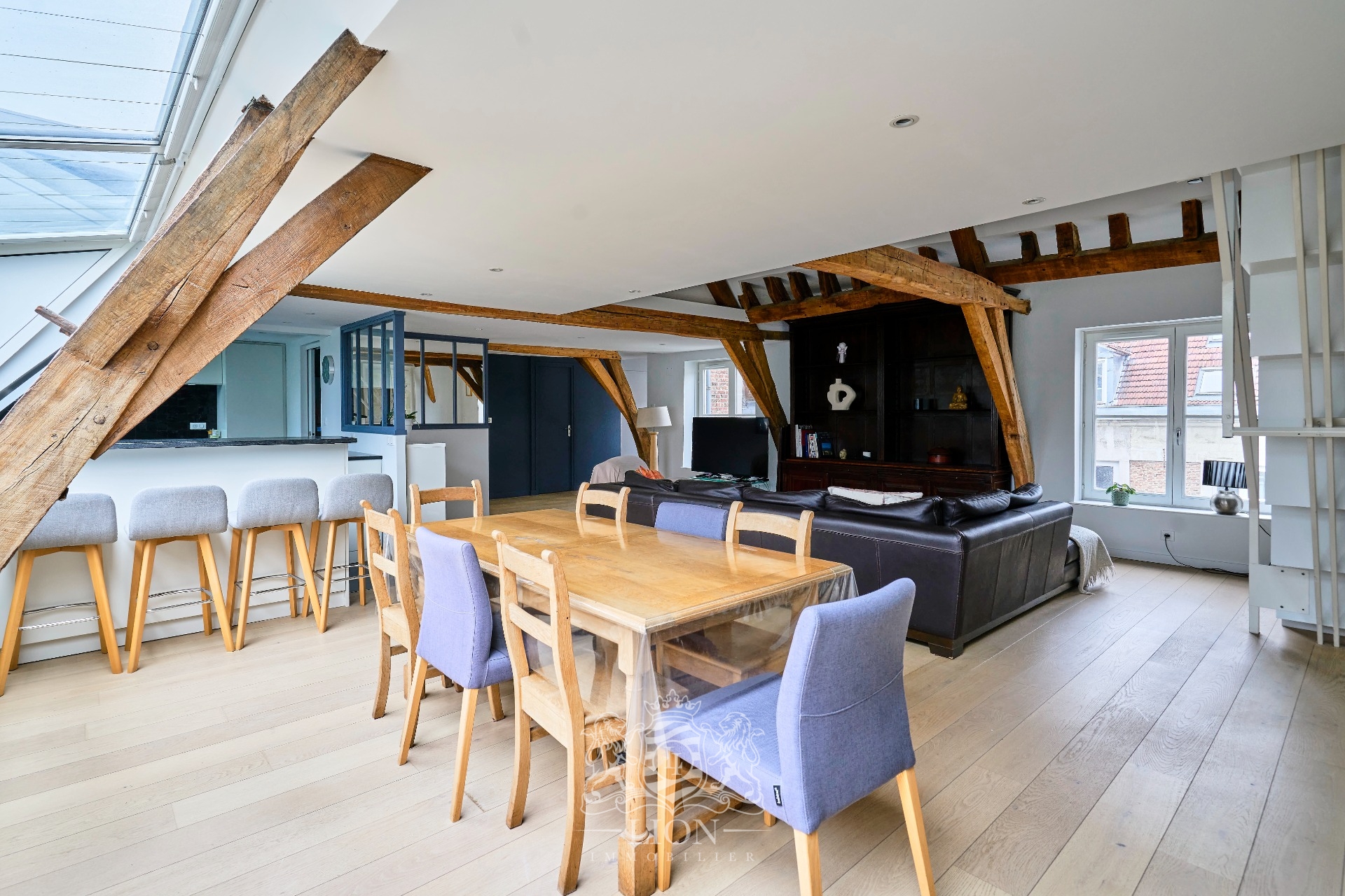 Appartement coup de coeur dans un ancien hotel particulier Photo 1 - Le Lion Immobilier
