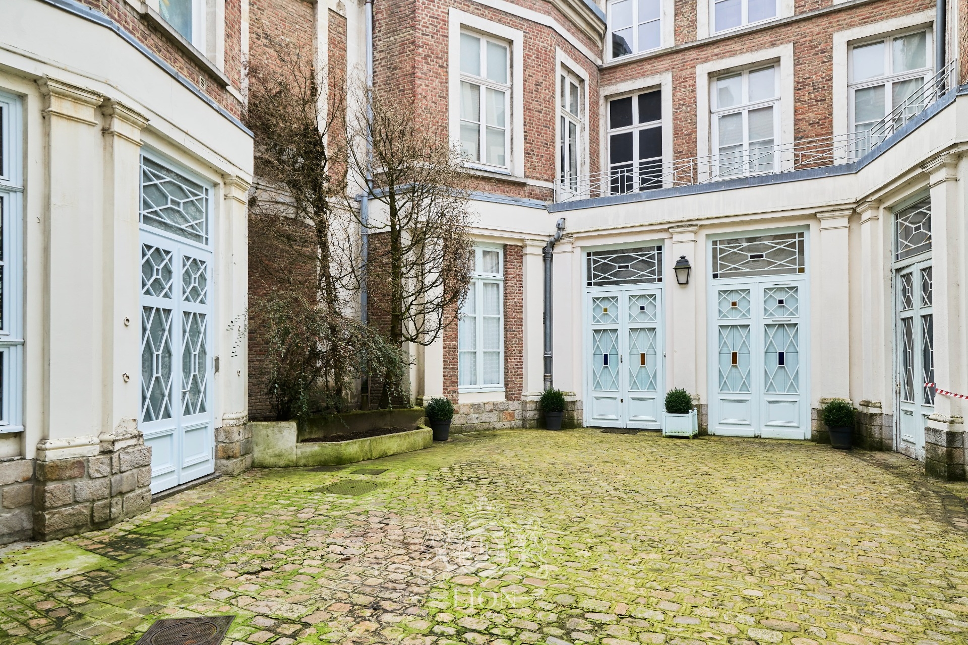 Appartement coup de coeur dans un ancien hotel particulier Photo 2 - Le Lion Immobilier