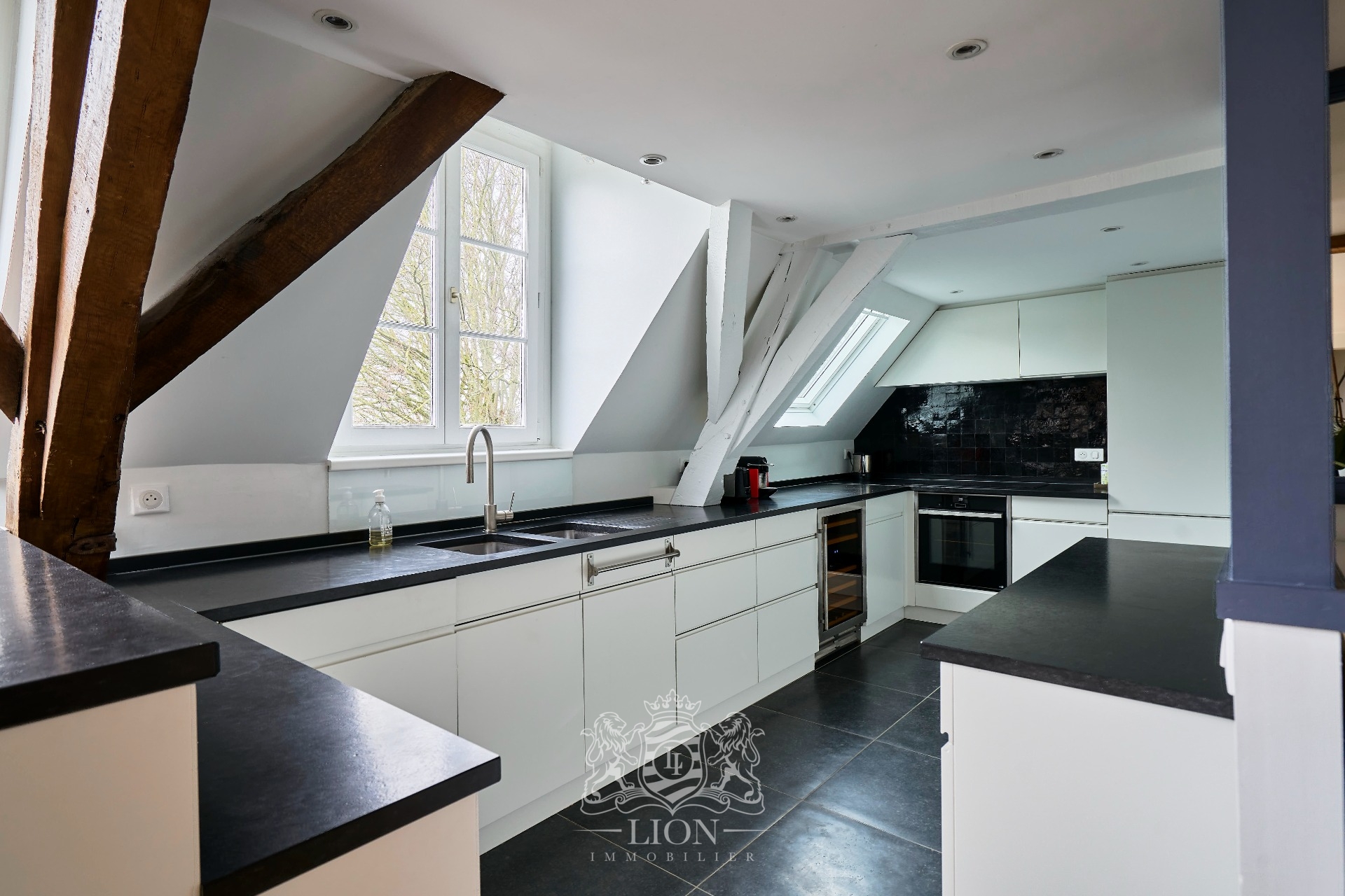 Appartement coup de coeur dans un ancien hotel particulier Photo 5 - Le Lion Immobilier
