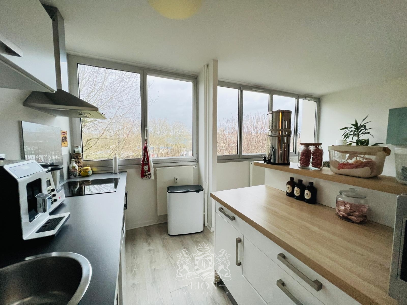 T3bis avec parking cormontaigne Photo 4 - Le Lion Immobilier