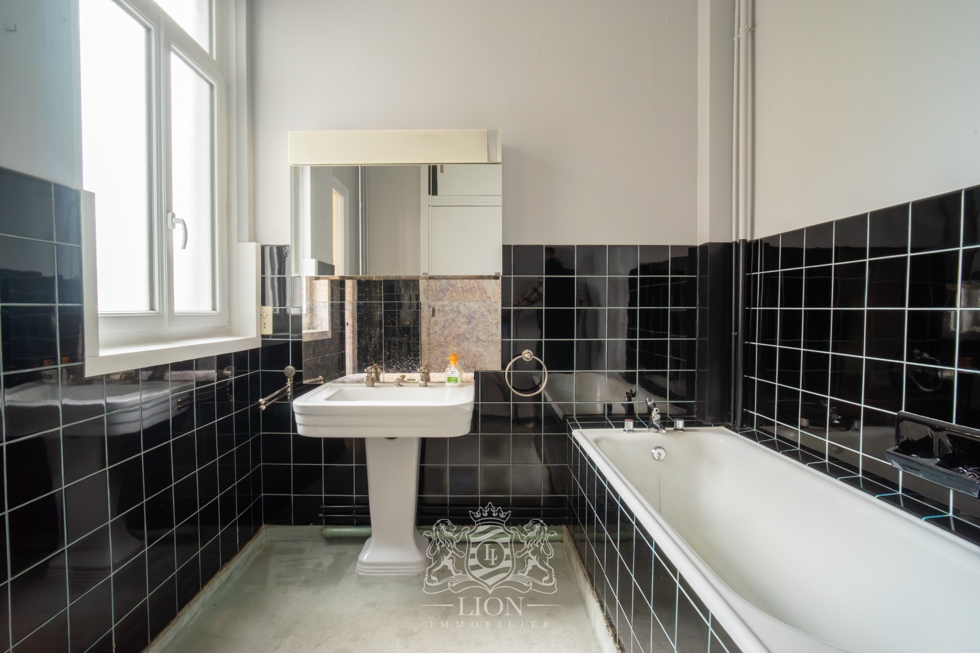 Appartement haussmannien 3 chambres et balcon  renover Photo 9 - Le Lion Immobilier