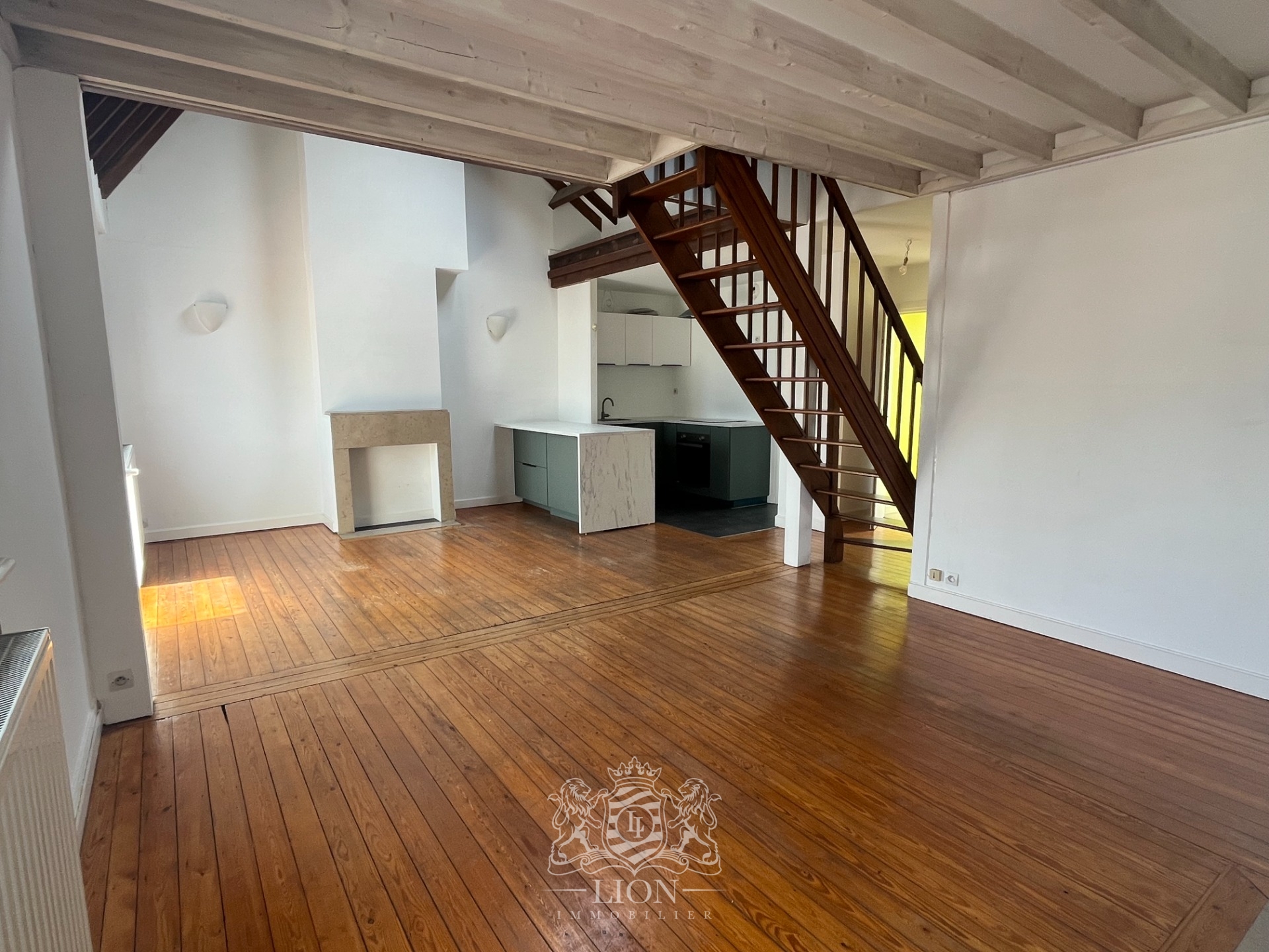 Duplex lumineux cormontaigne Photo 1 - Le Lion Immobilier