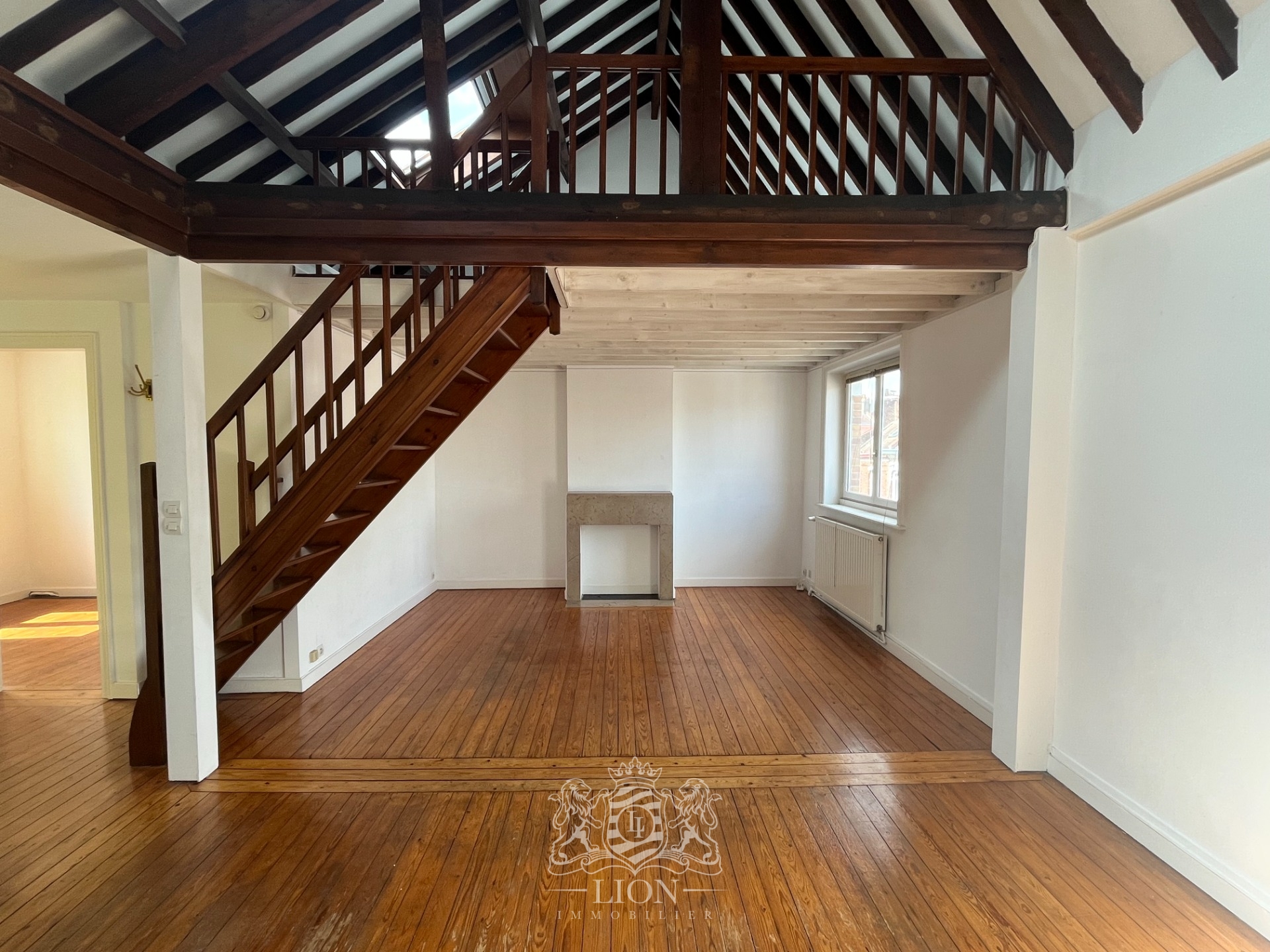 Duplex lumineux cormontaigne Photo 2 - Le Lion Immobilier