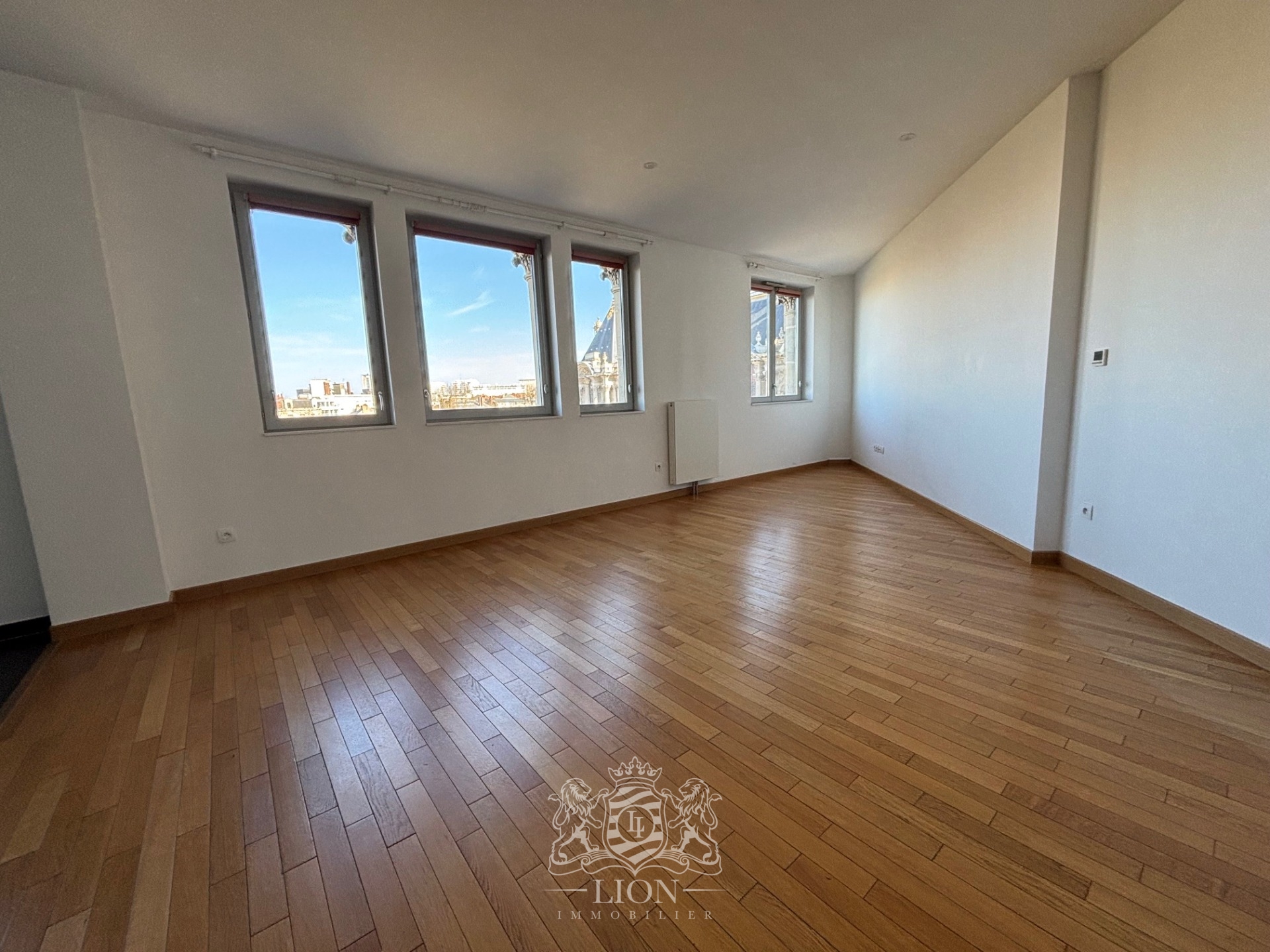Lille republique magnifique vue pour ce type 3   cave Photo 4 - Le Lion Immobilier
