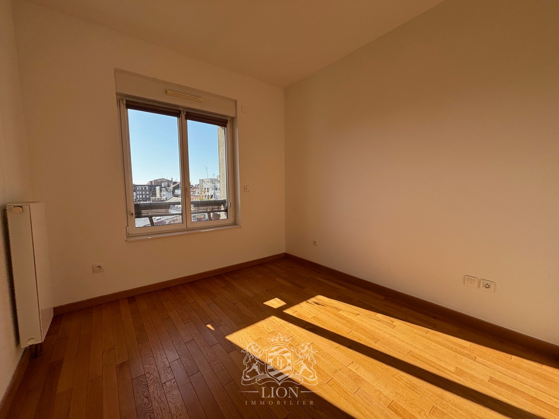 Lille republique magnifique vue pour ce type 3   cave Photo 9 - Le Lion Immobilier