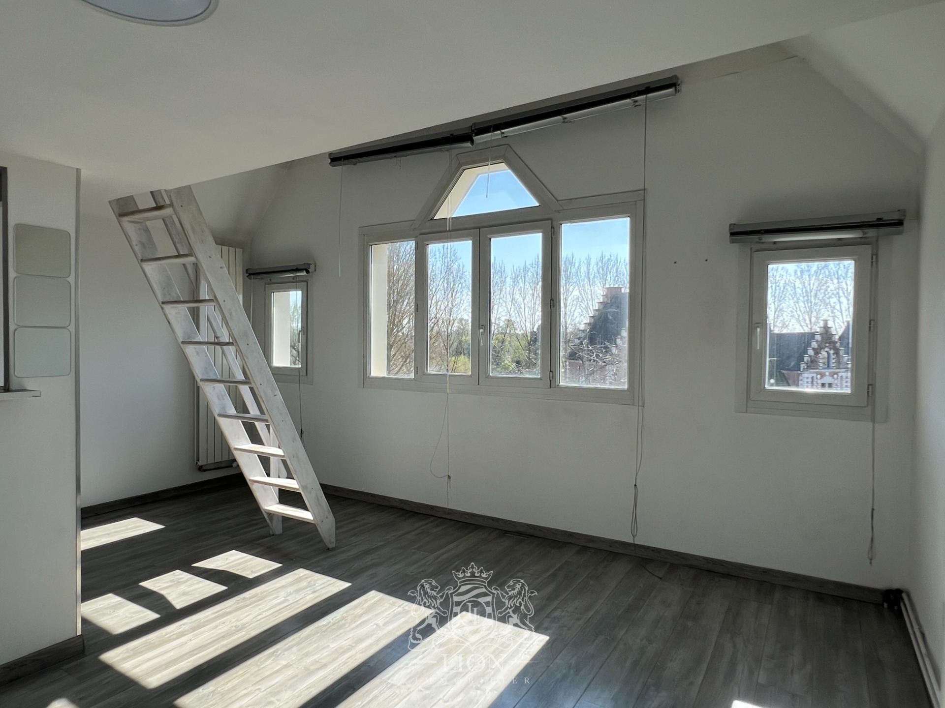T1 bis avec mezzanine Photo 2 - Le Lion Immobilier